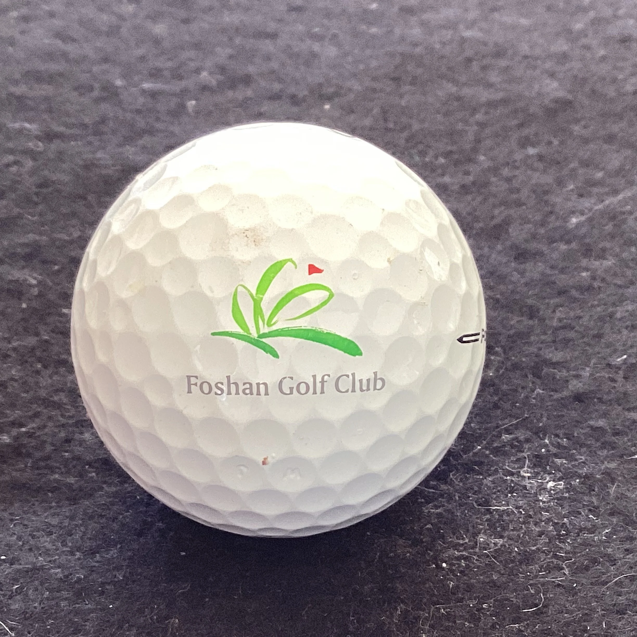 Foshan Golf Club 