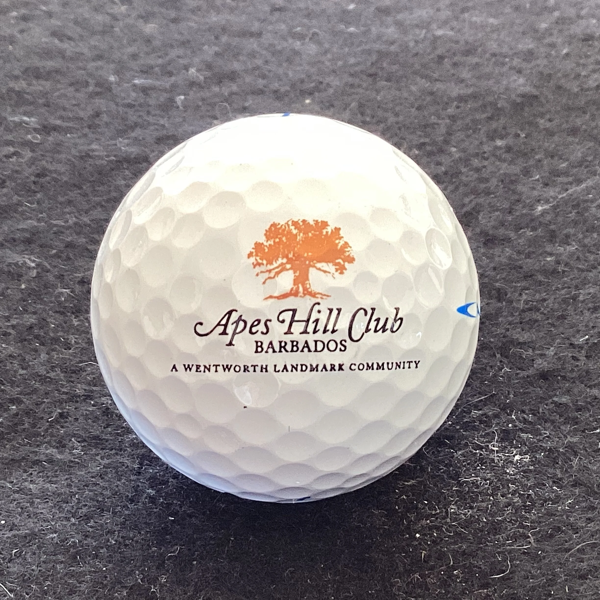 Apes Hill Club
