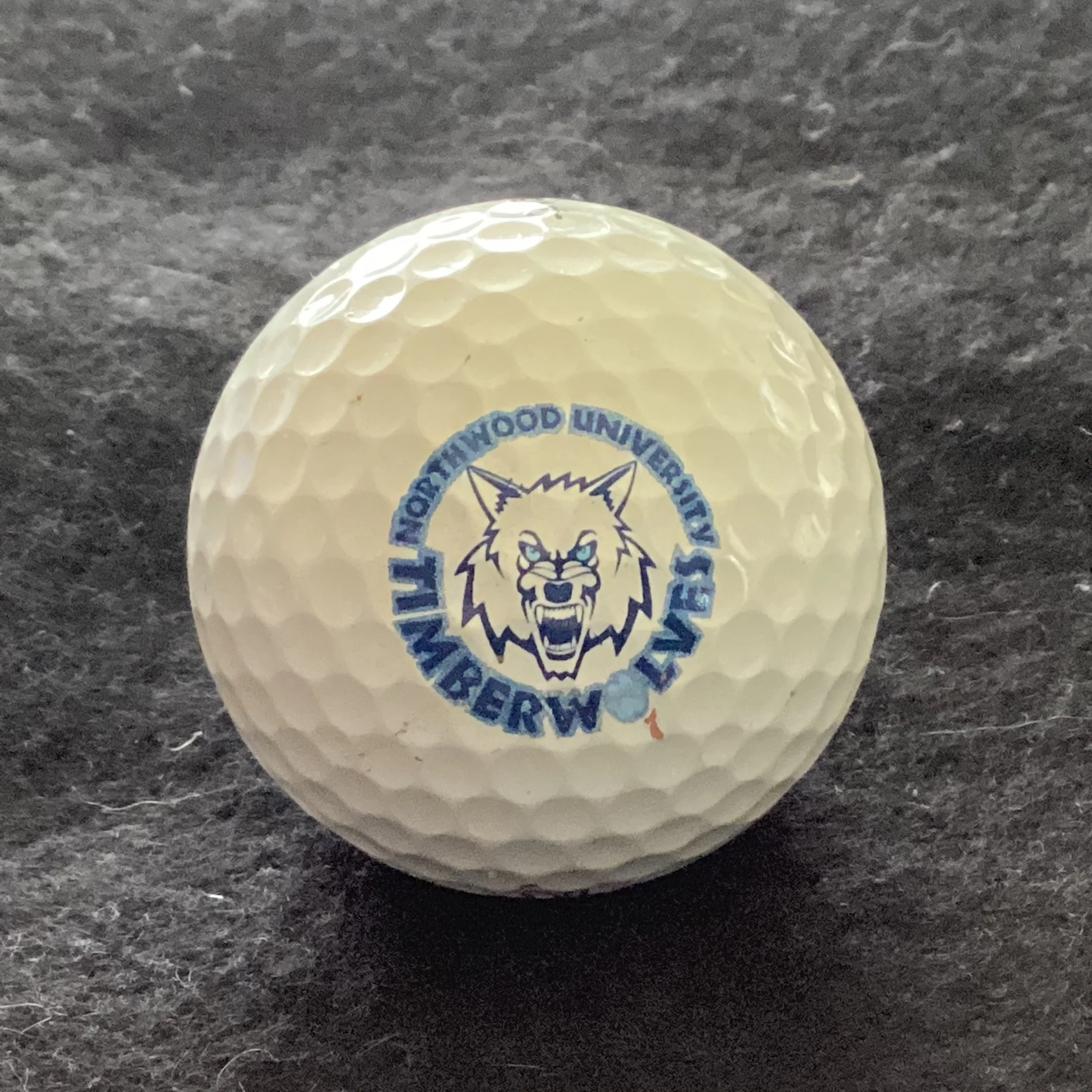 Northwood University Timber Wolves