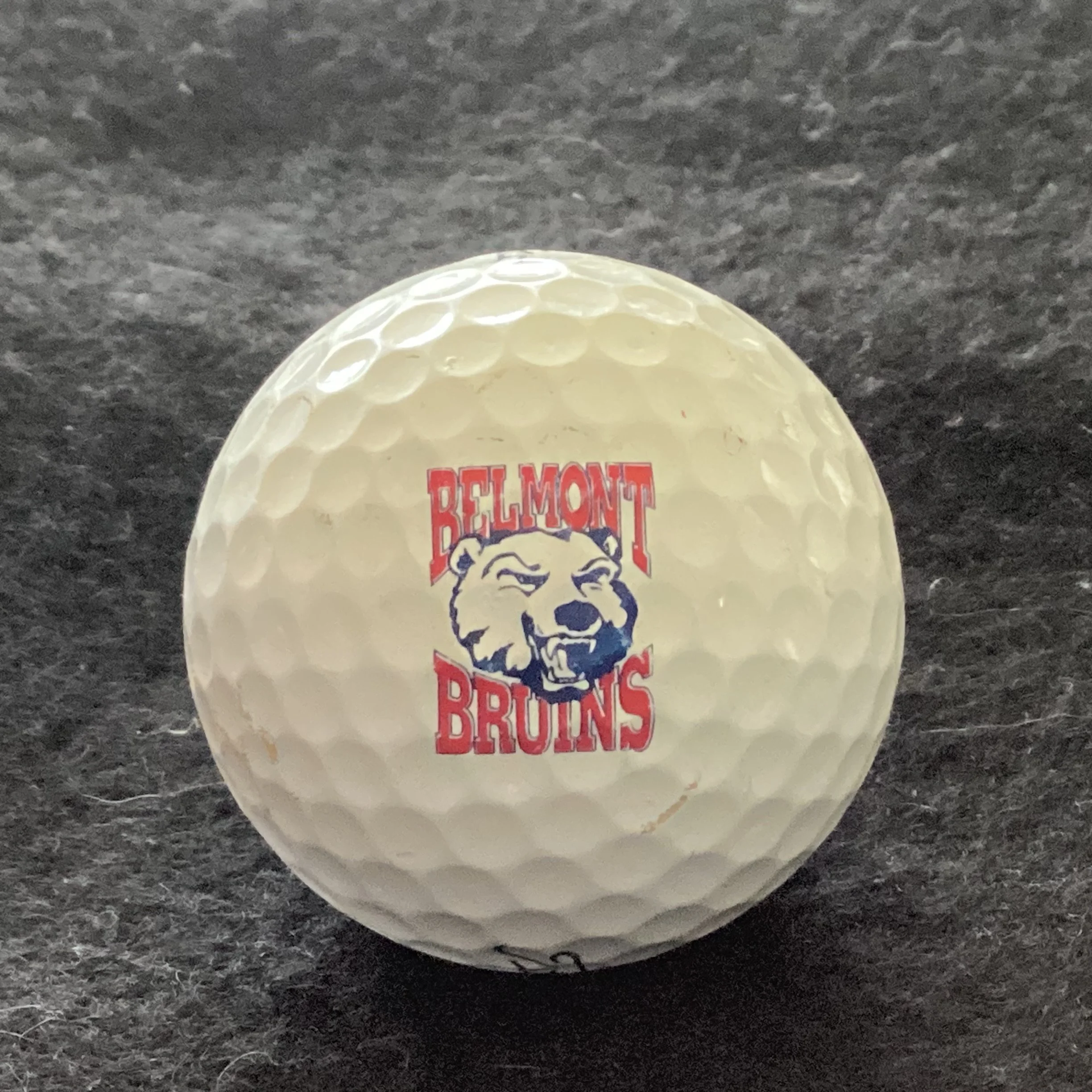 Belmont University Bruins