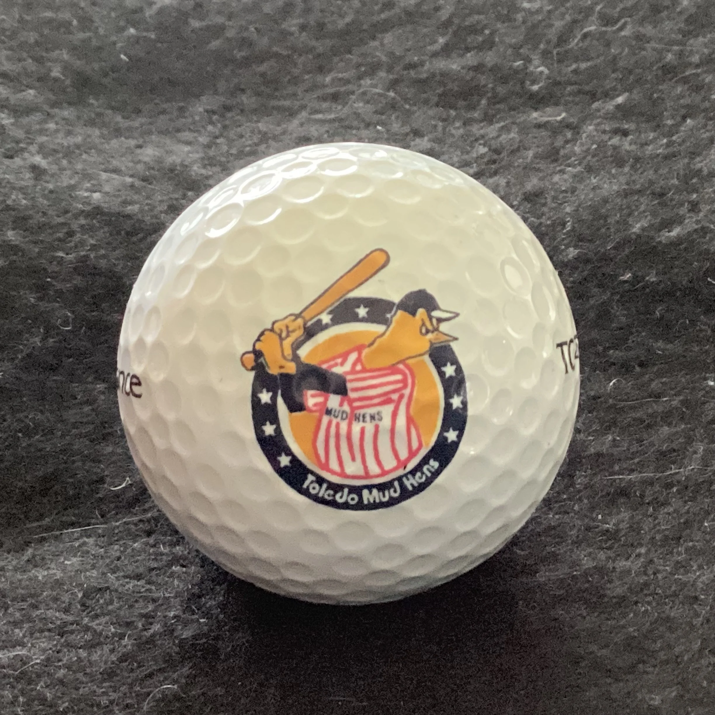 Toledo Mud Hens