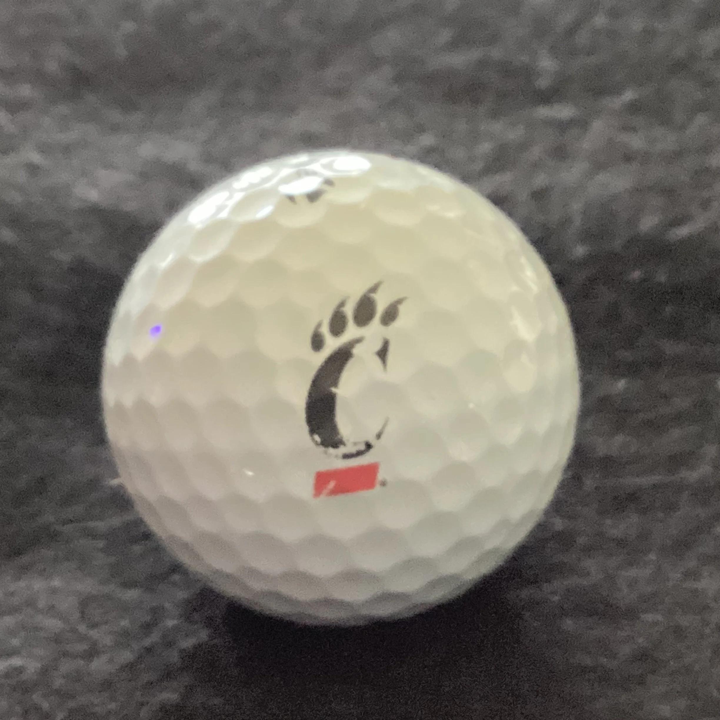 University of Cincinnati Bearcats