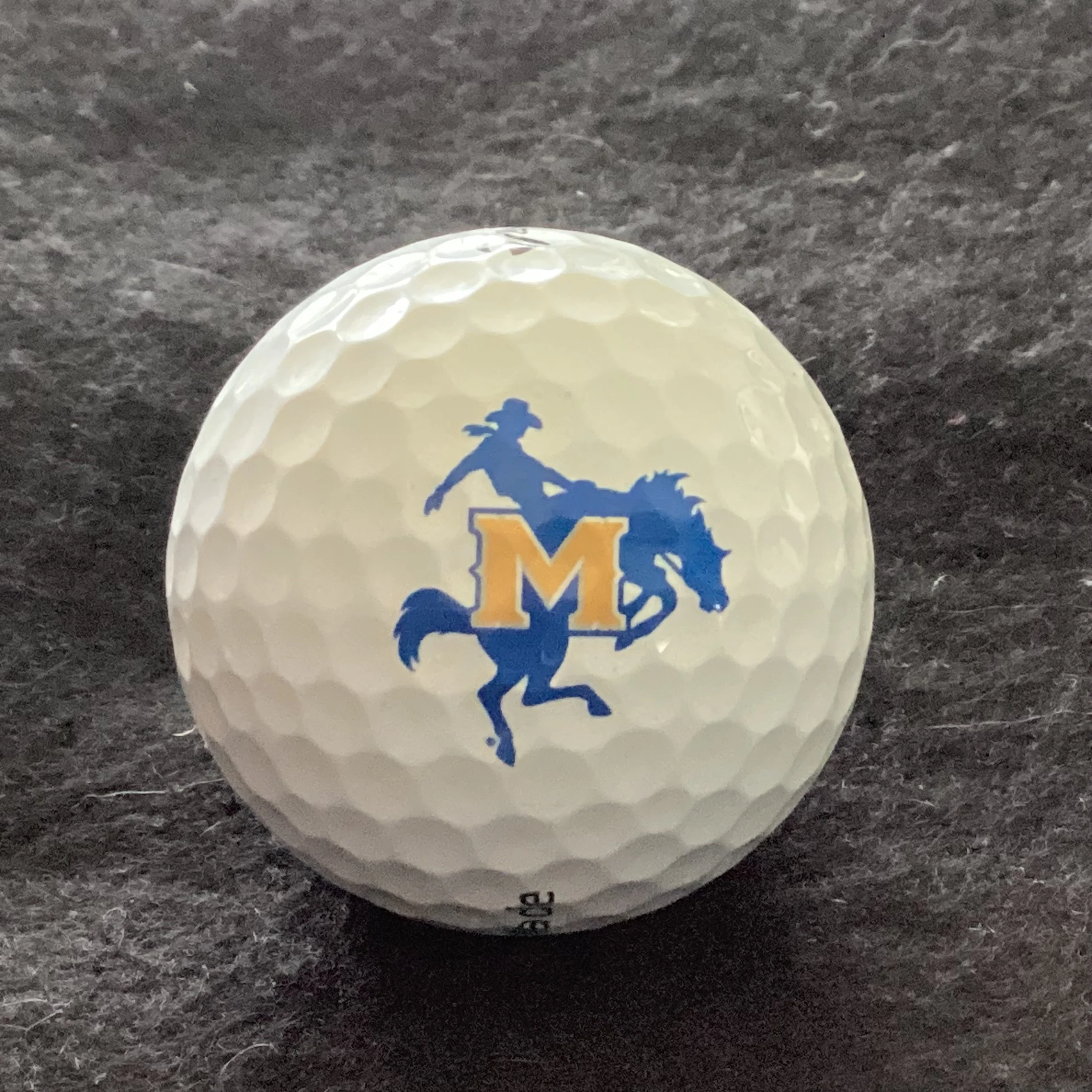 McNeese State University Cowboys 