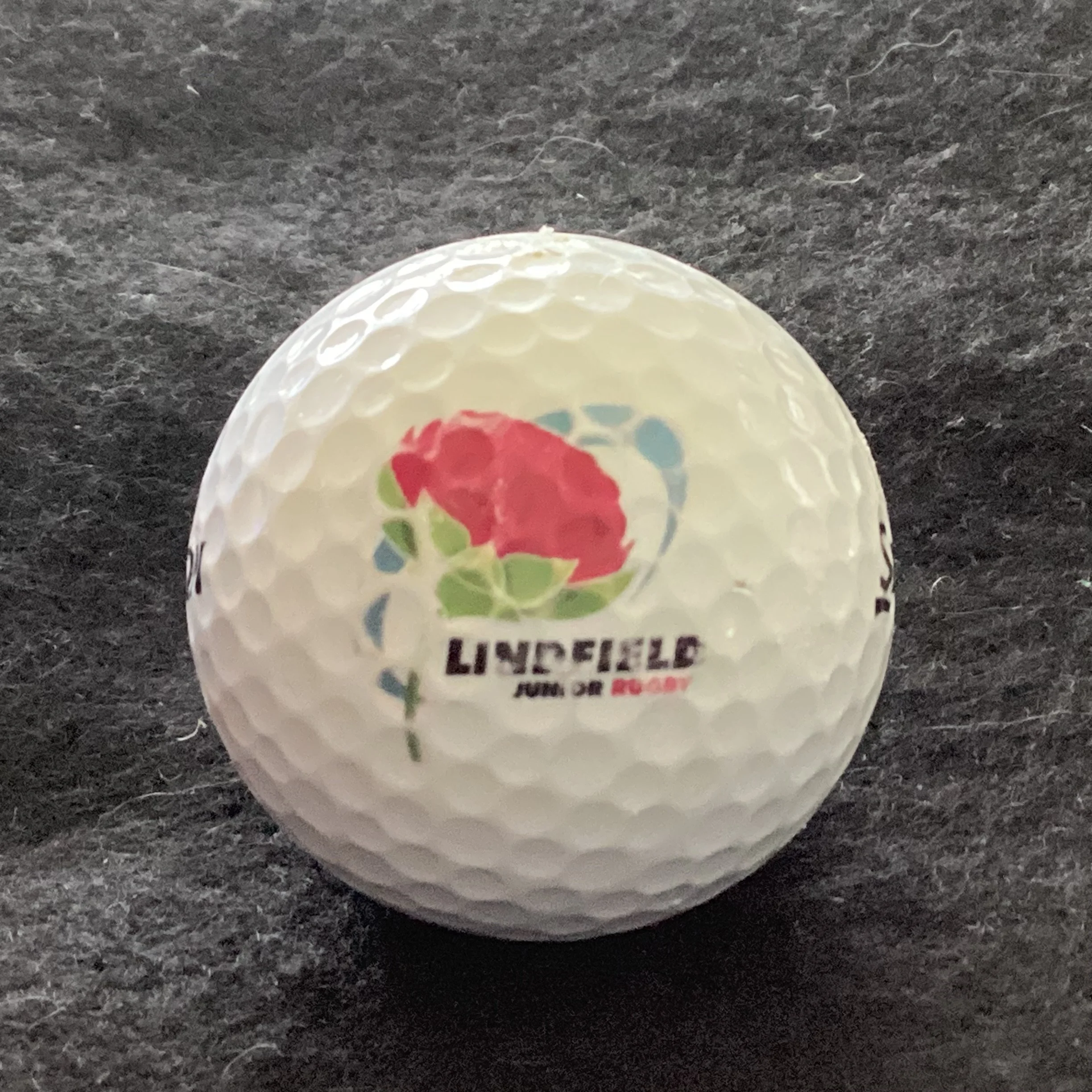 Lindfield Junior Rugby 
