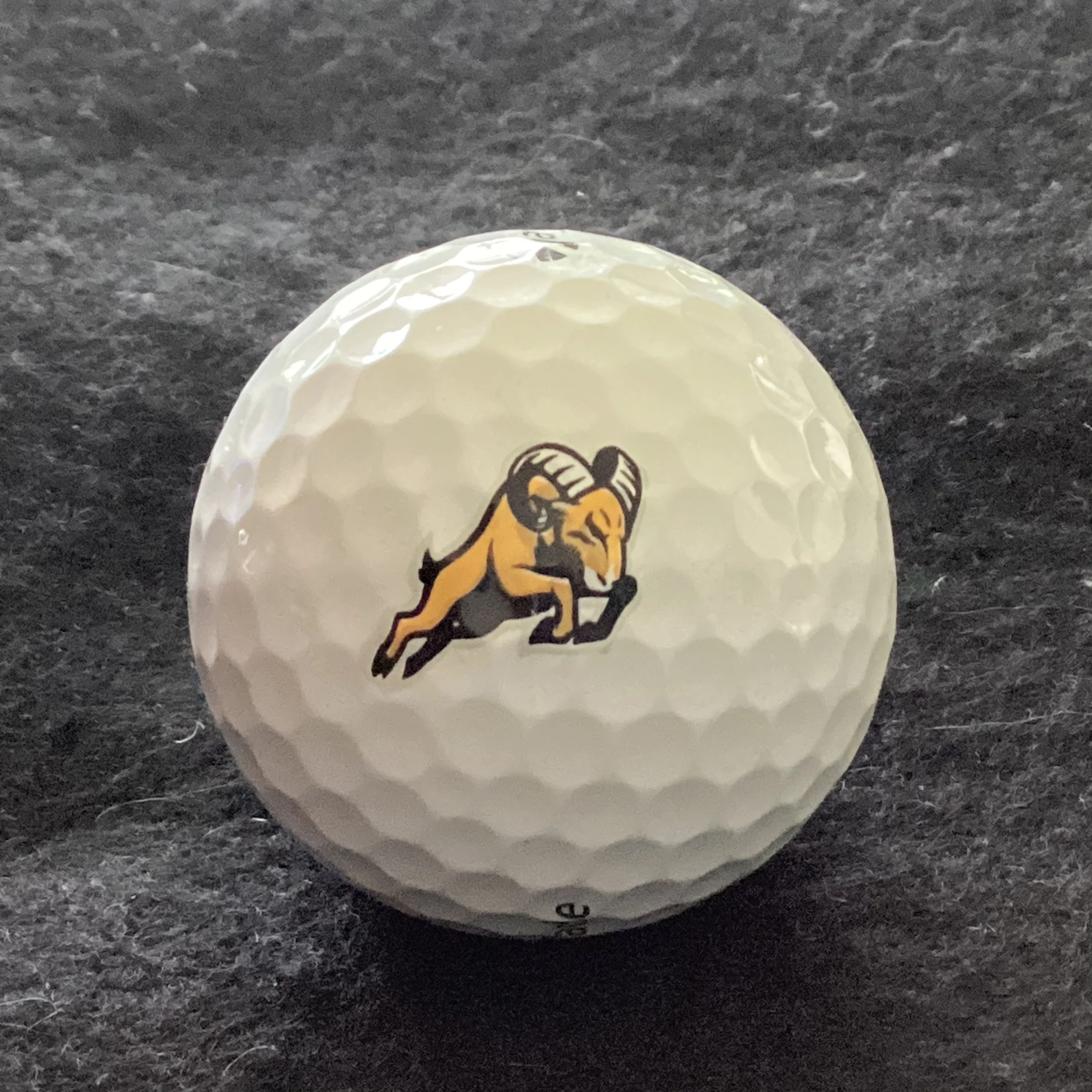 Riverdale High School Rams