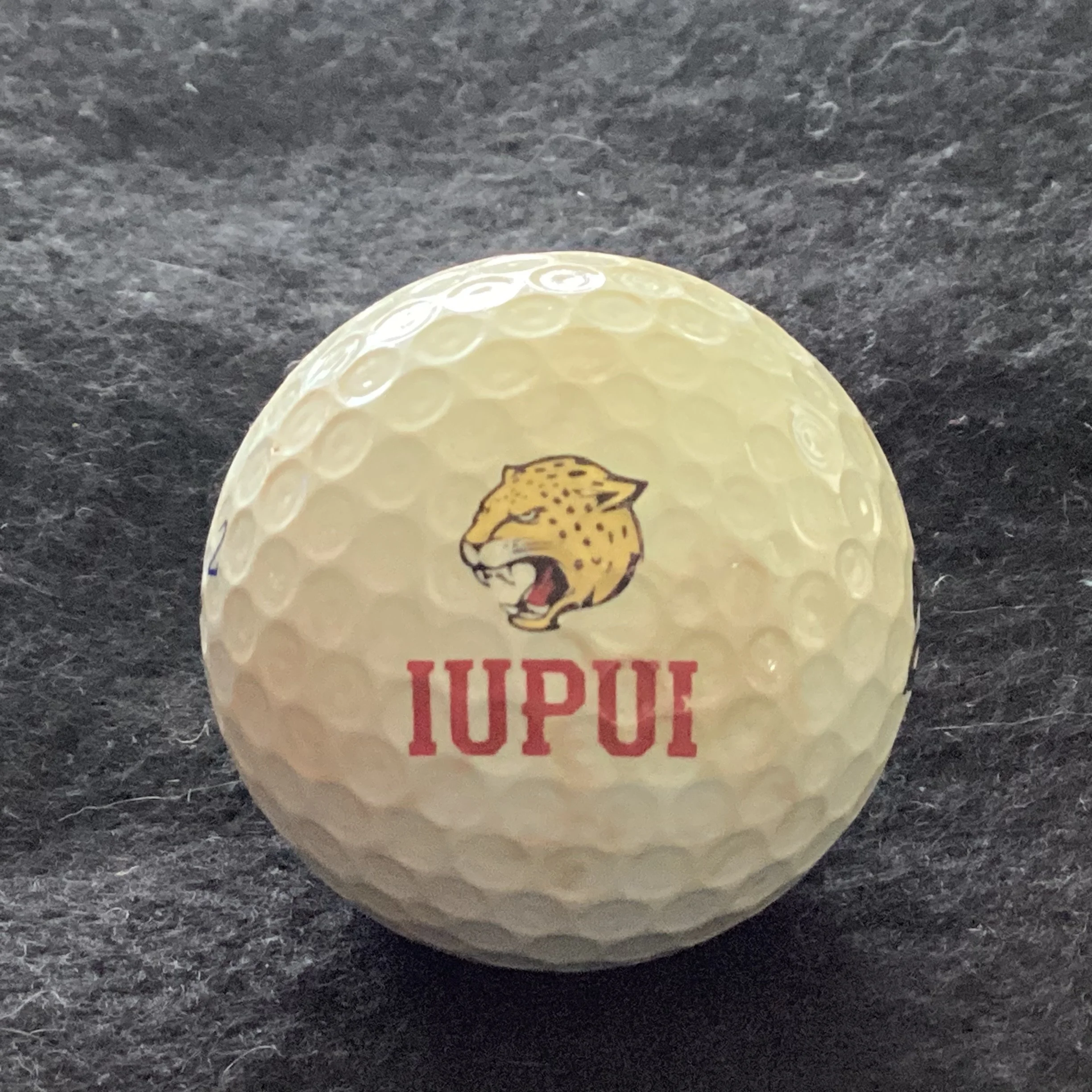 Indiana University Purdue University of Indianapolis Jaguars