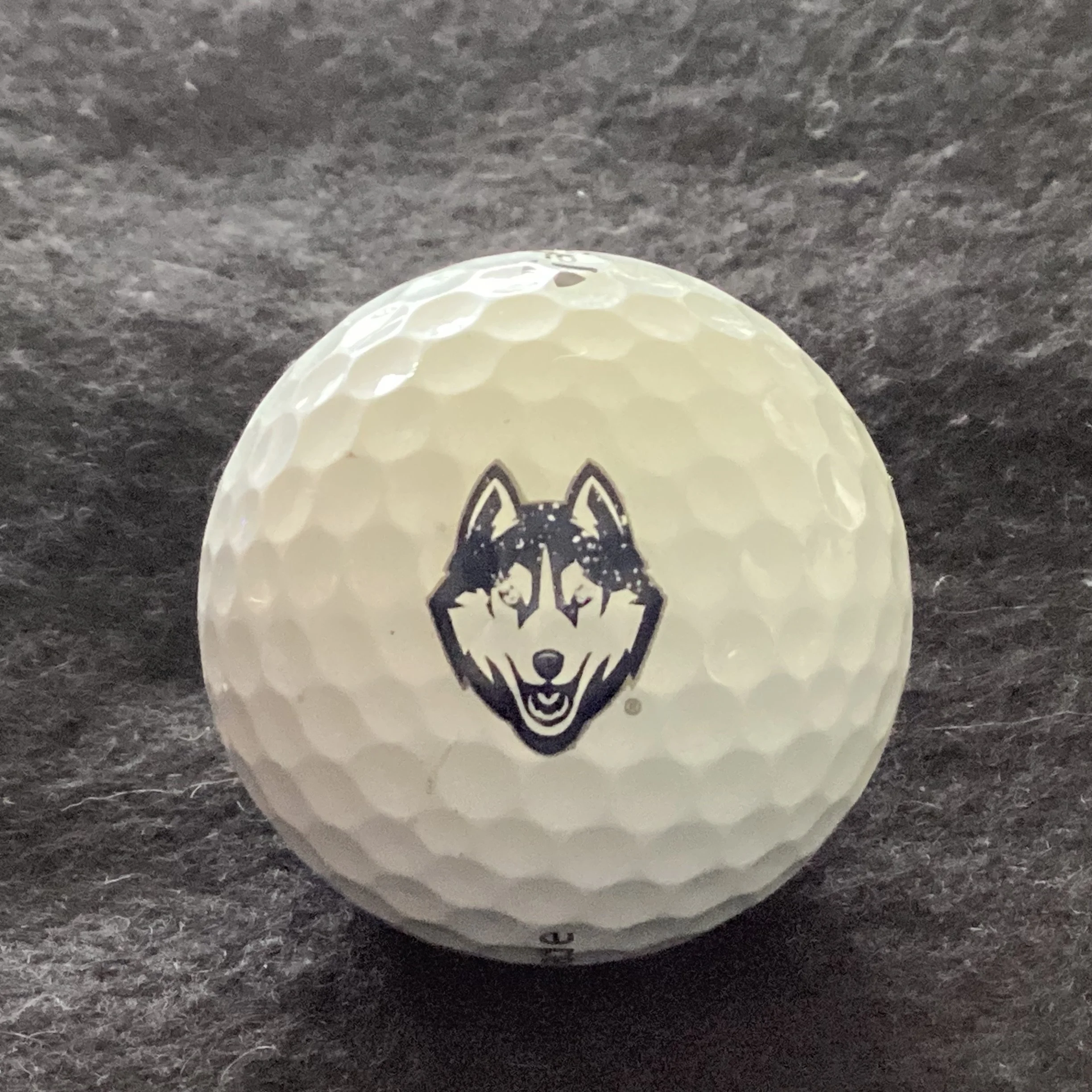 University of Connecticut Huskies