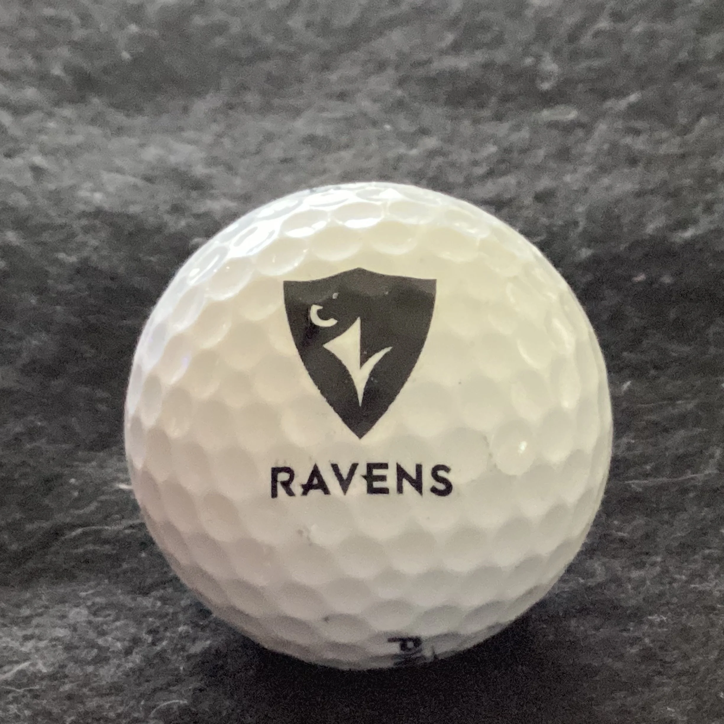 Carleton University Ravens