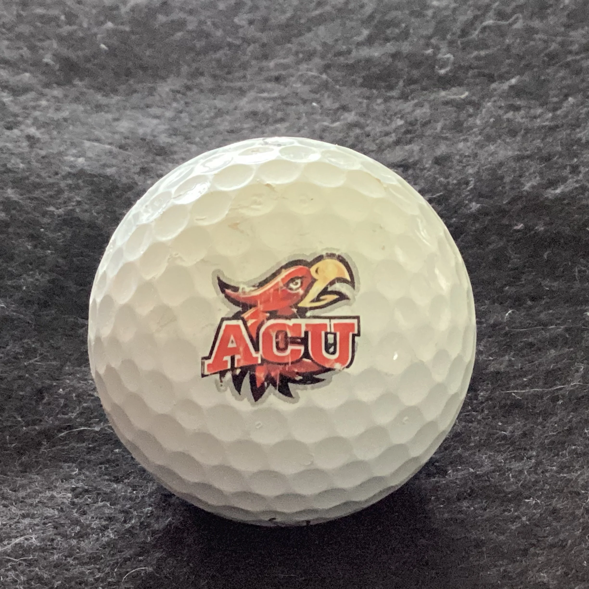 Arizona Christian University Firestorms