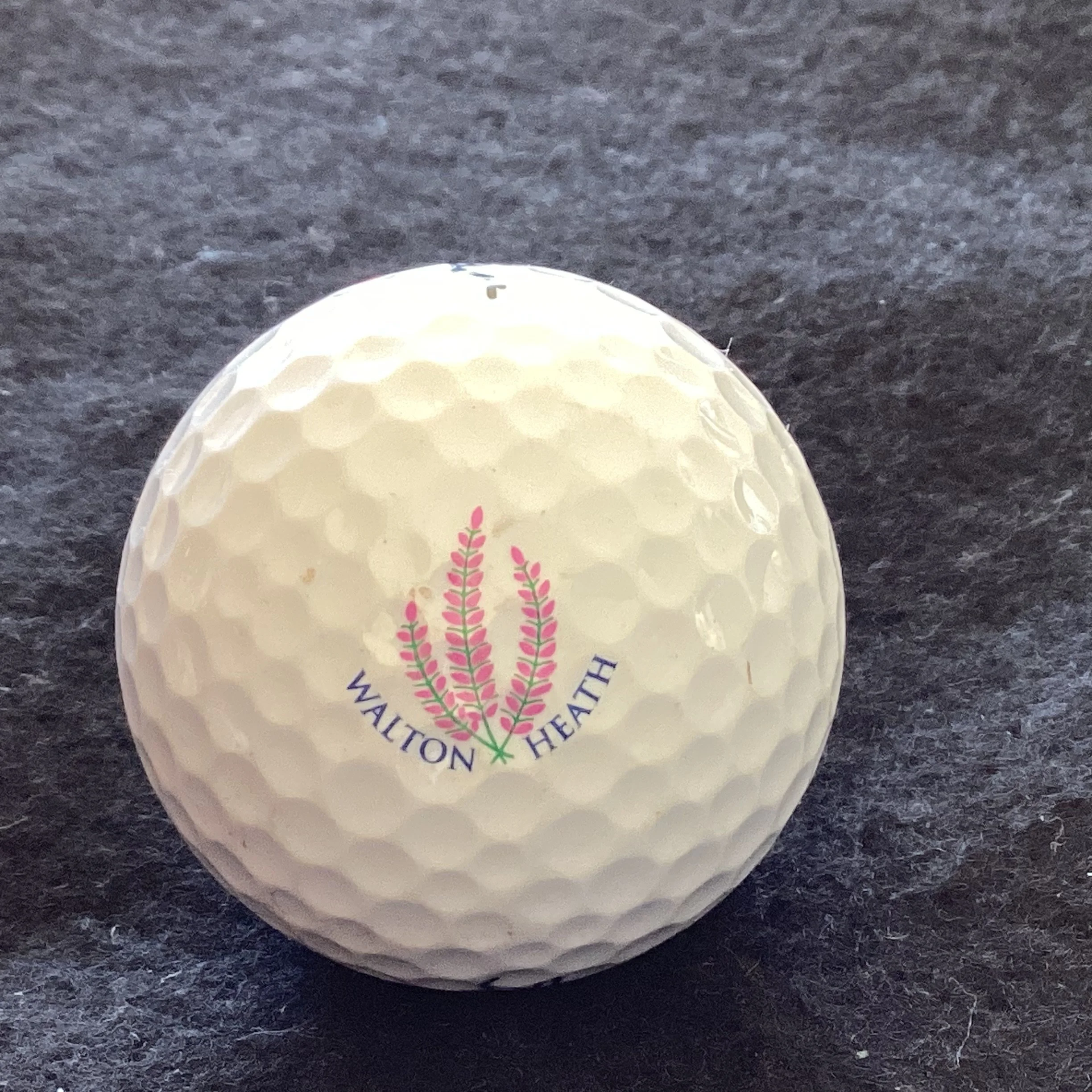 Walton Heath Golf Club

