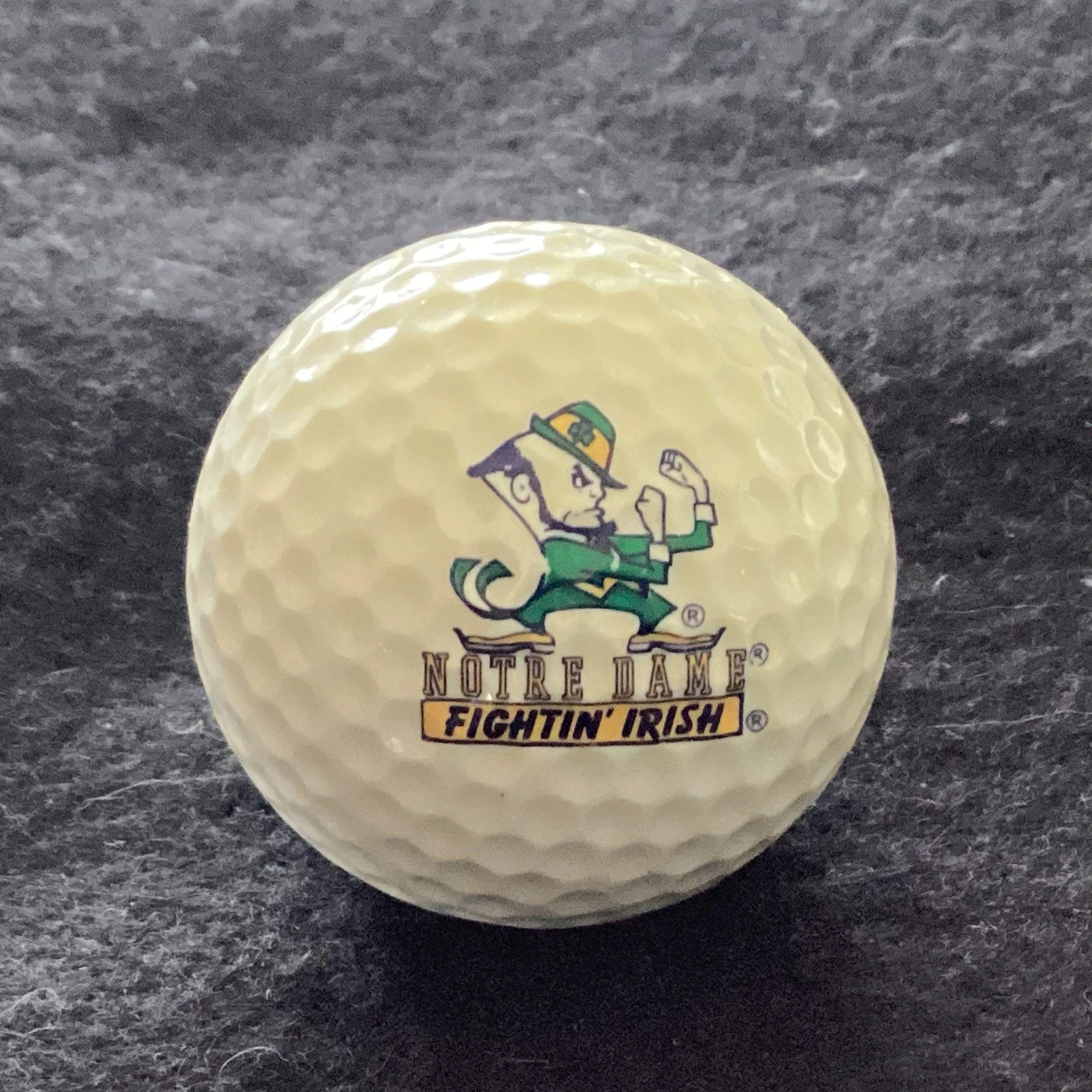 University of Notre Dame Fightin Irish