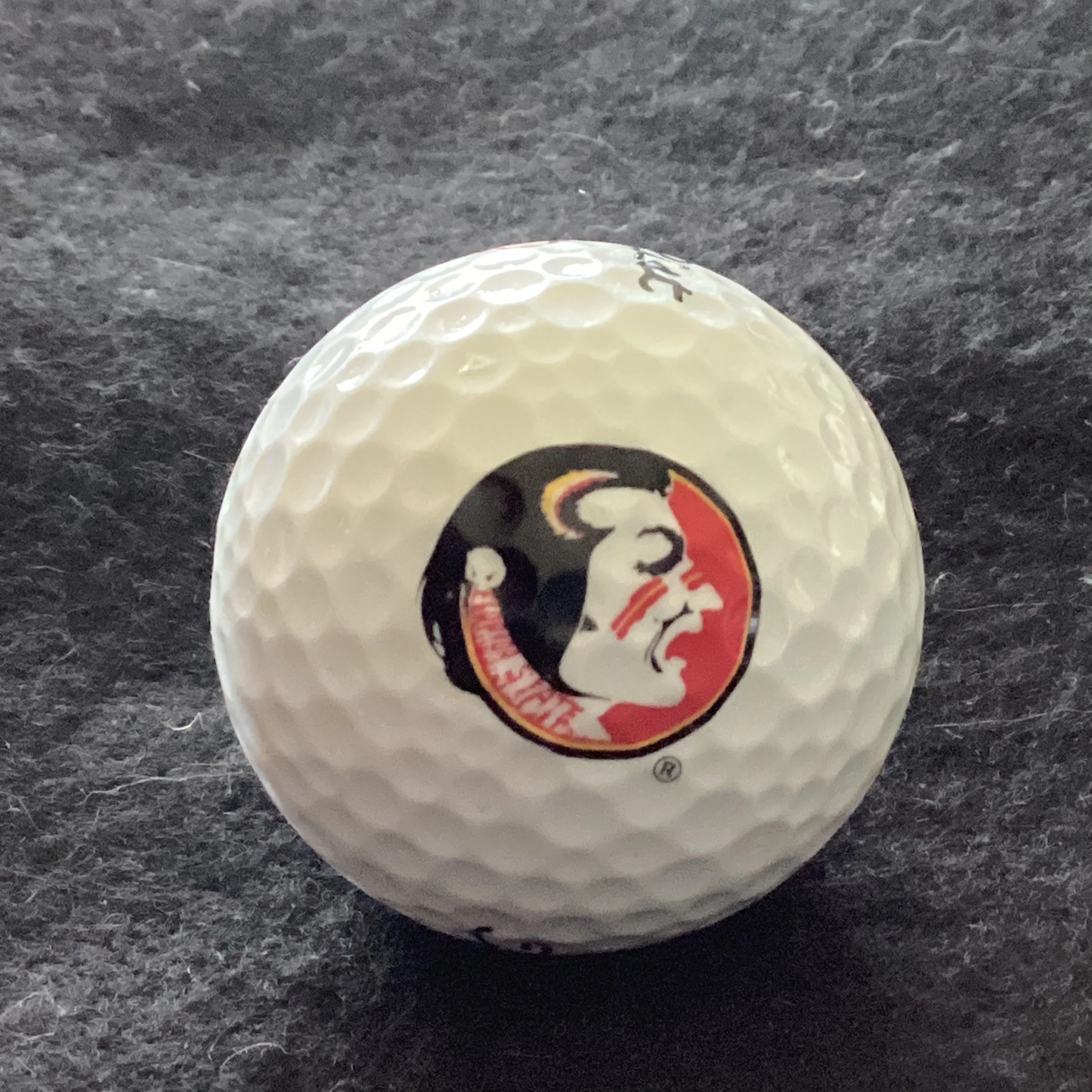 Florida State University Seminoles