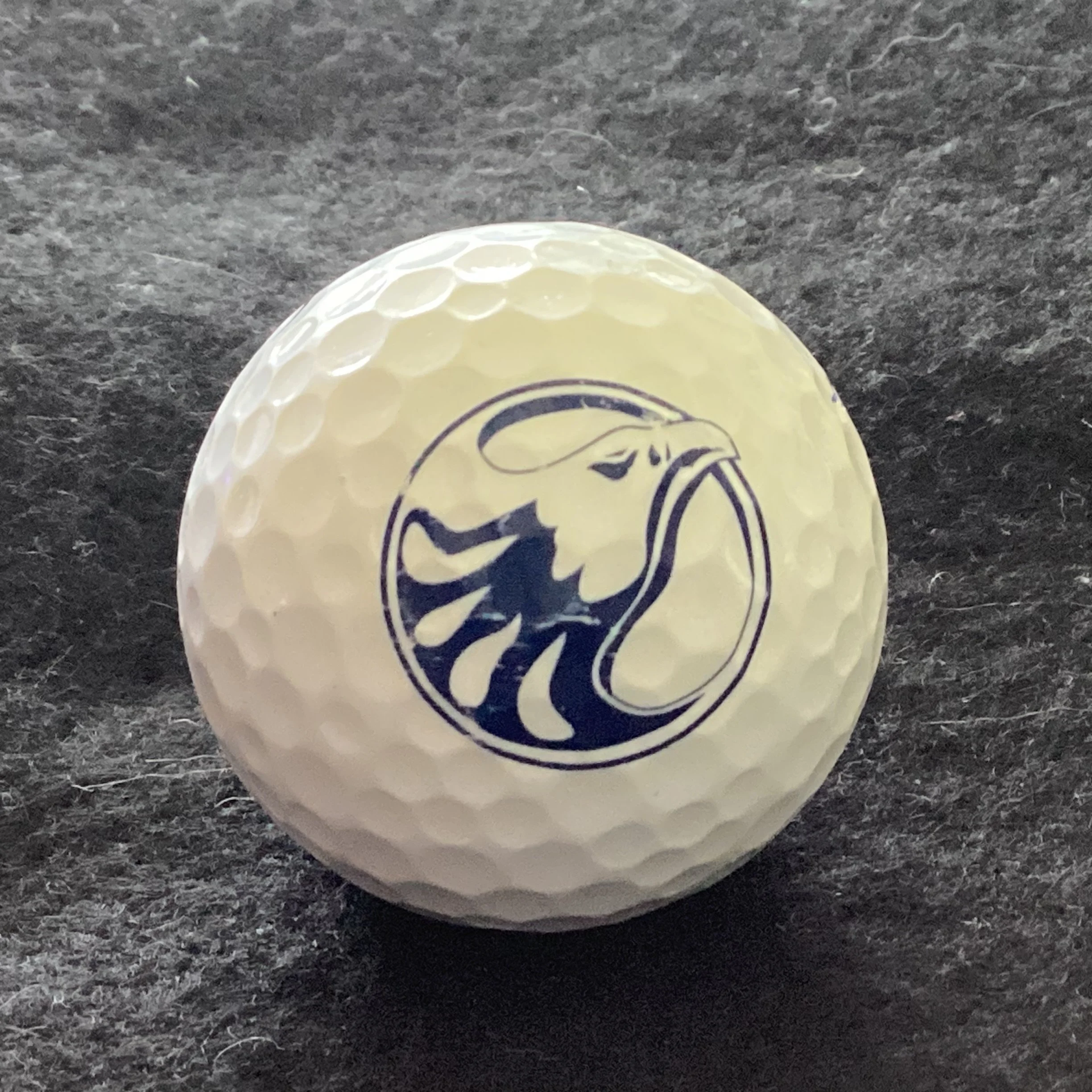 Ironwood Ridge High School Nighthawks 