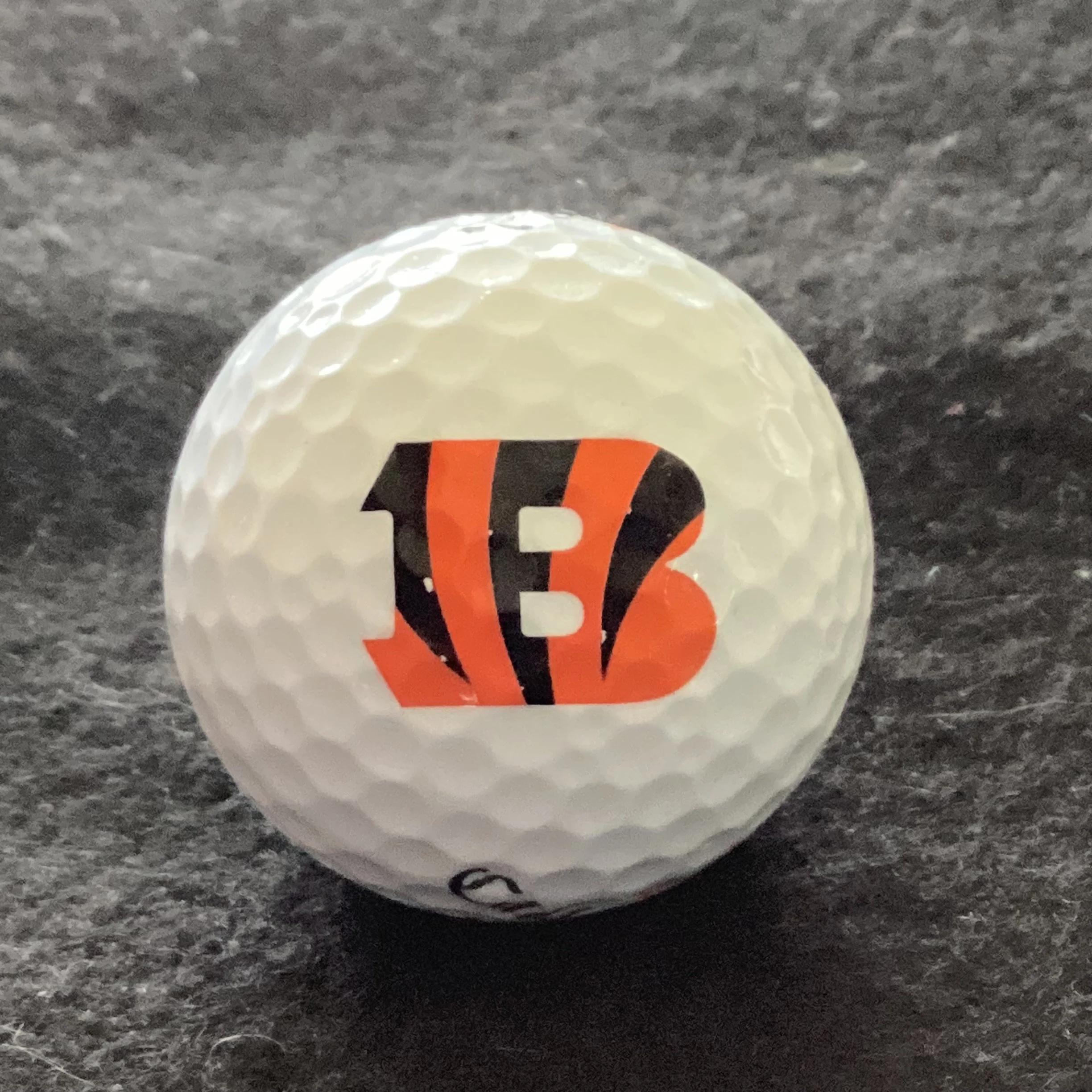 Cincinnati Bengals