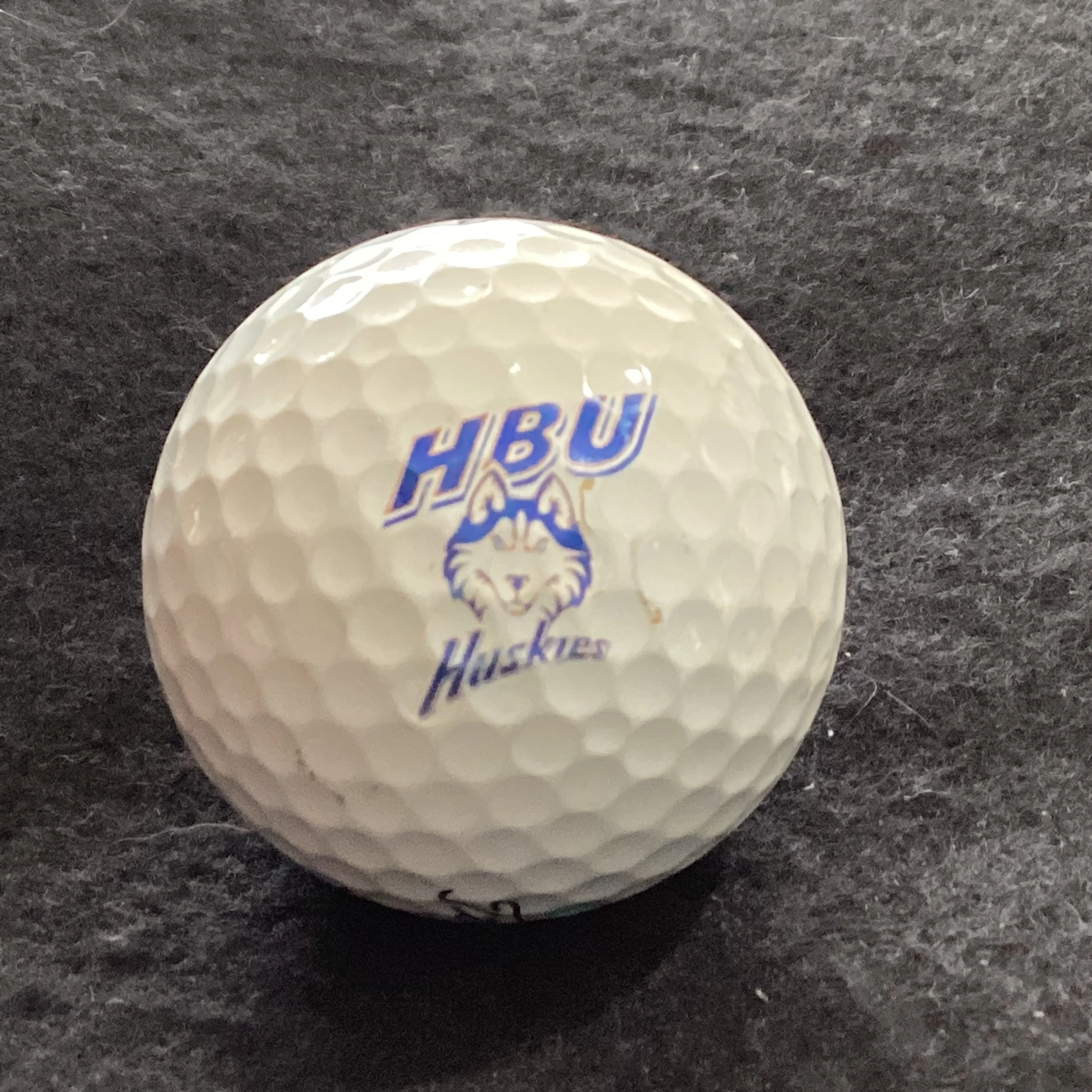 Houston Baptist University Huskies 