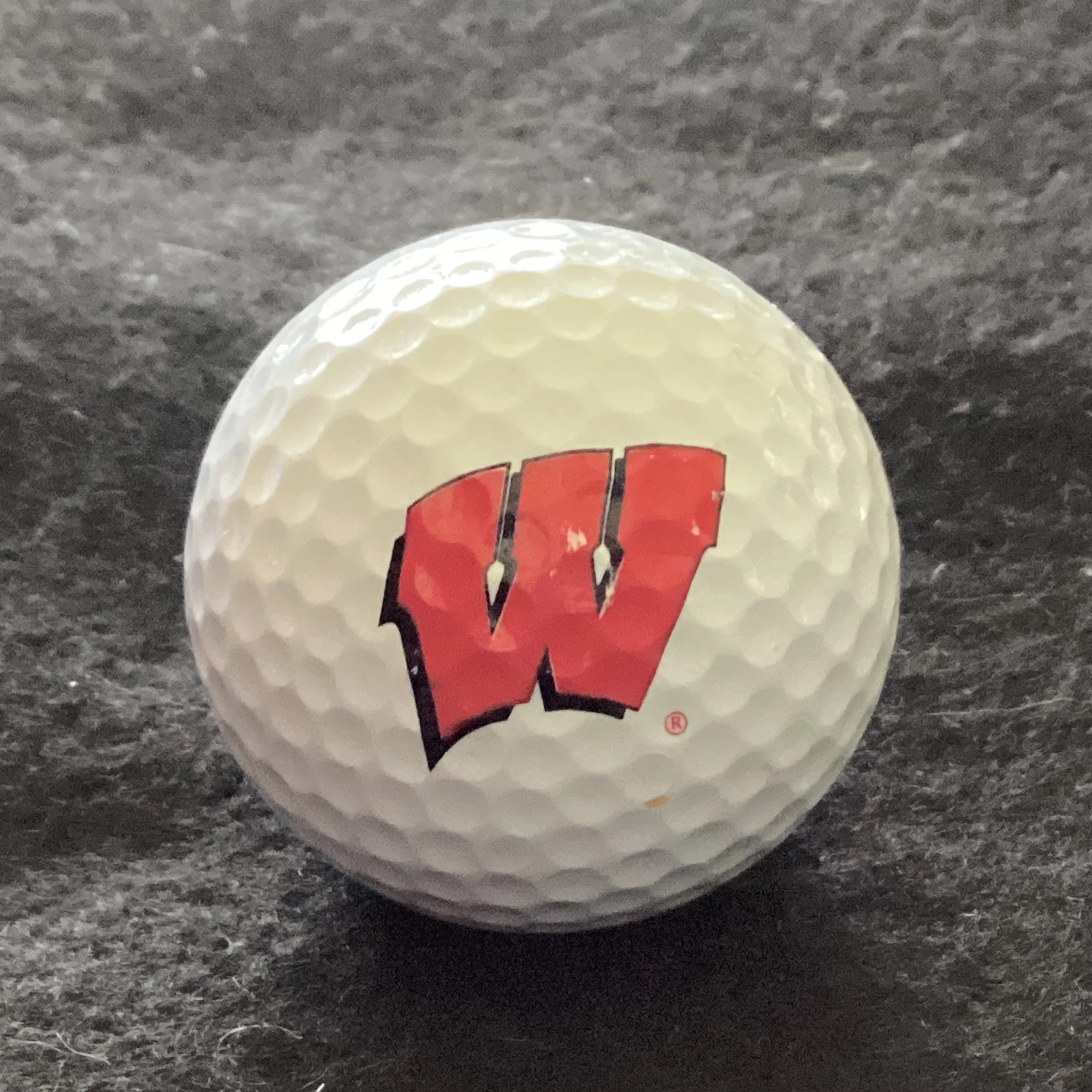 University of Wisconsin Badgers 