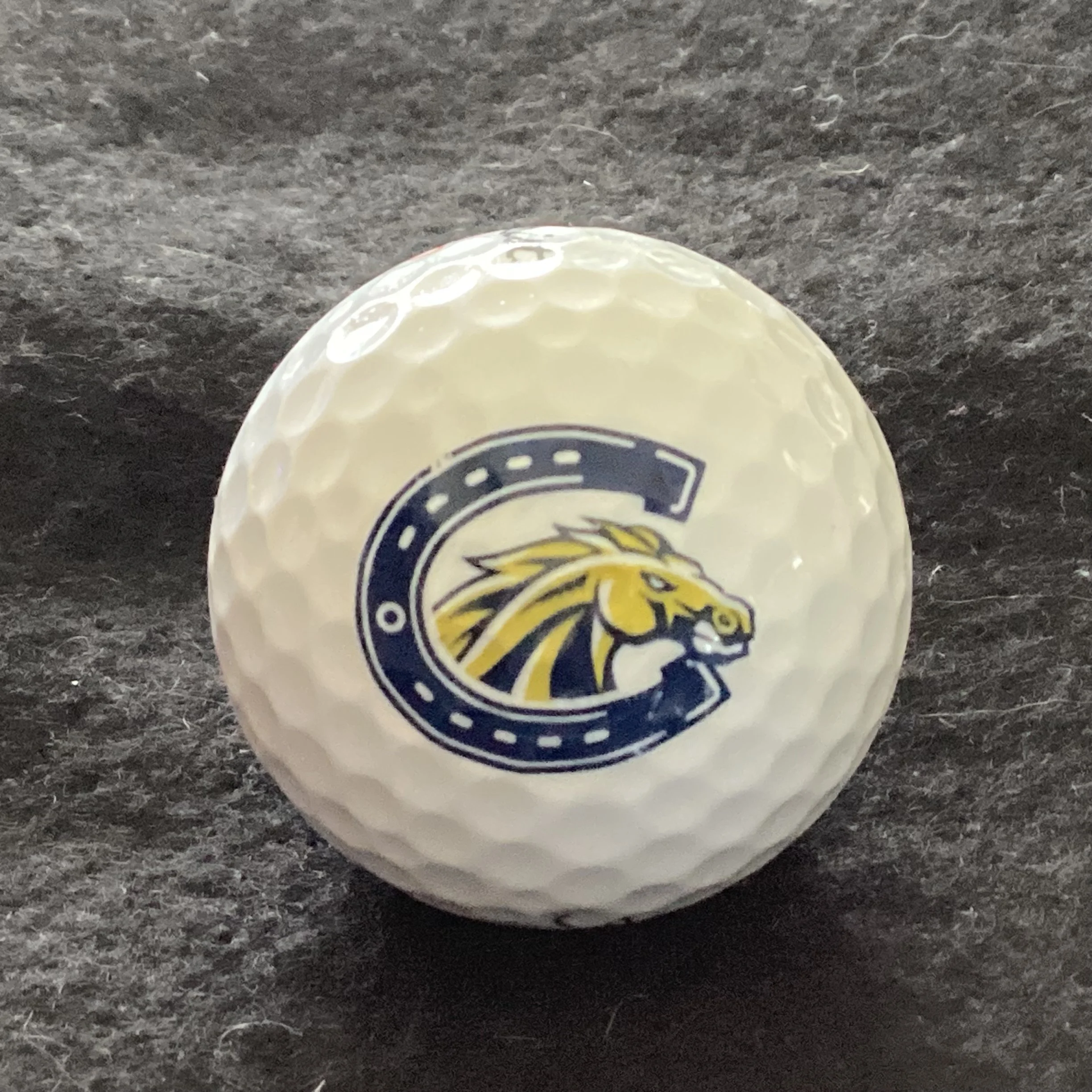Casteel High School Colts
