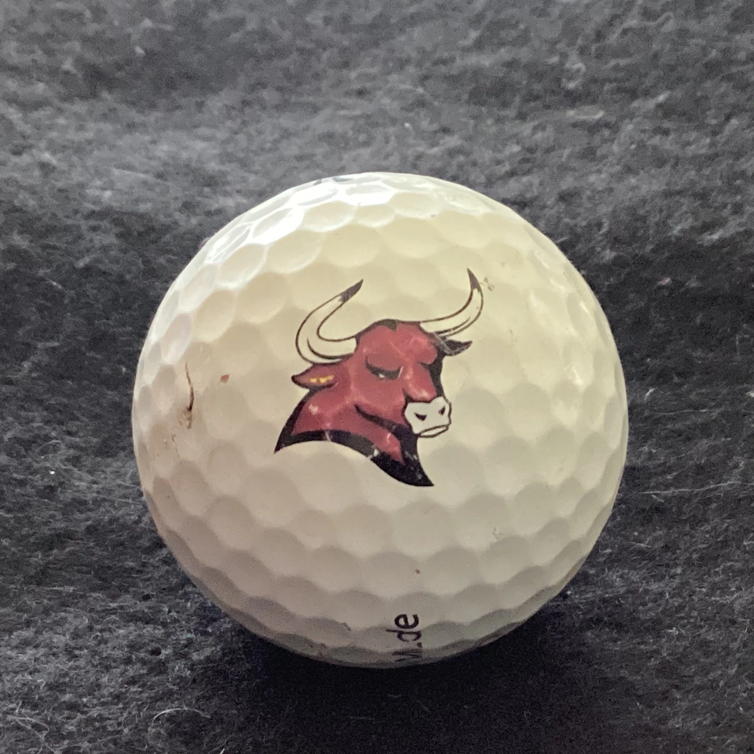 Colorado Mesa University Mavericks 