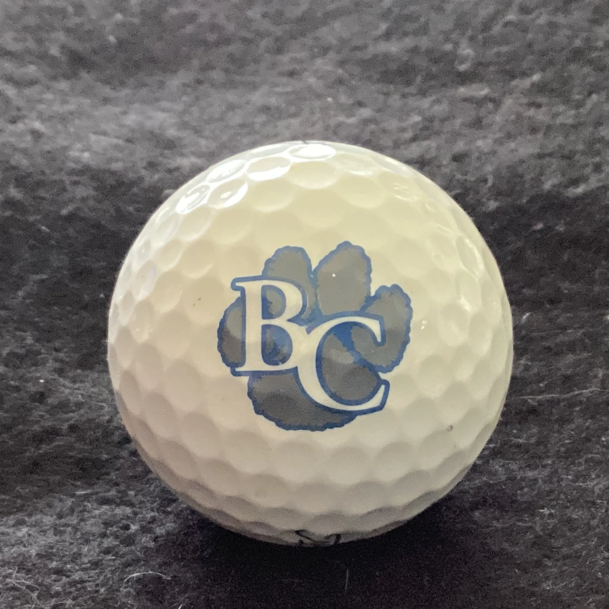Barron Collier High School