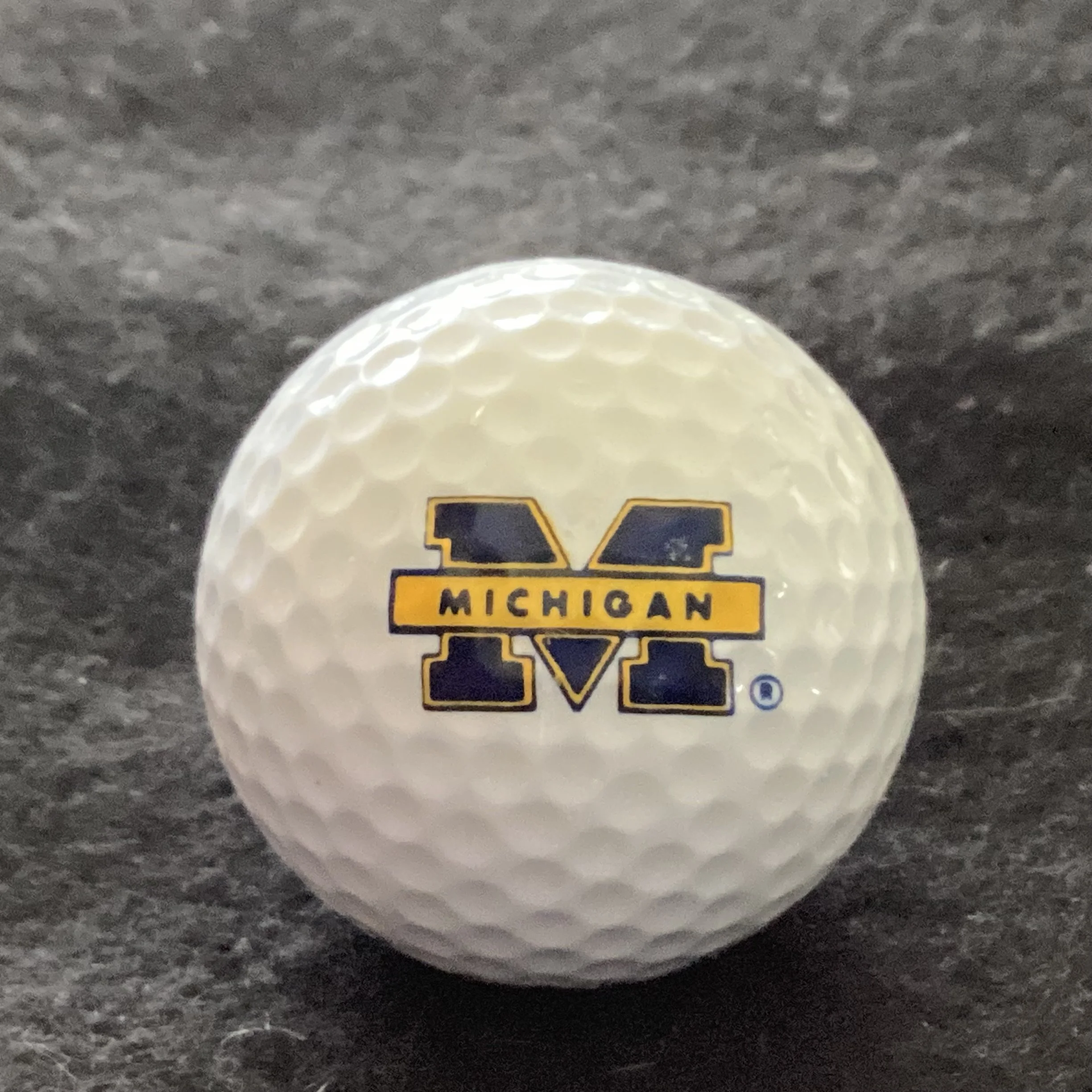 University of Michigan Wolverines 