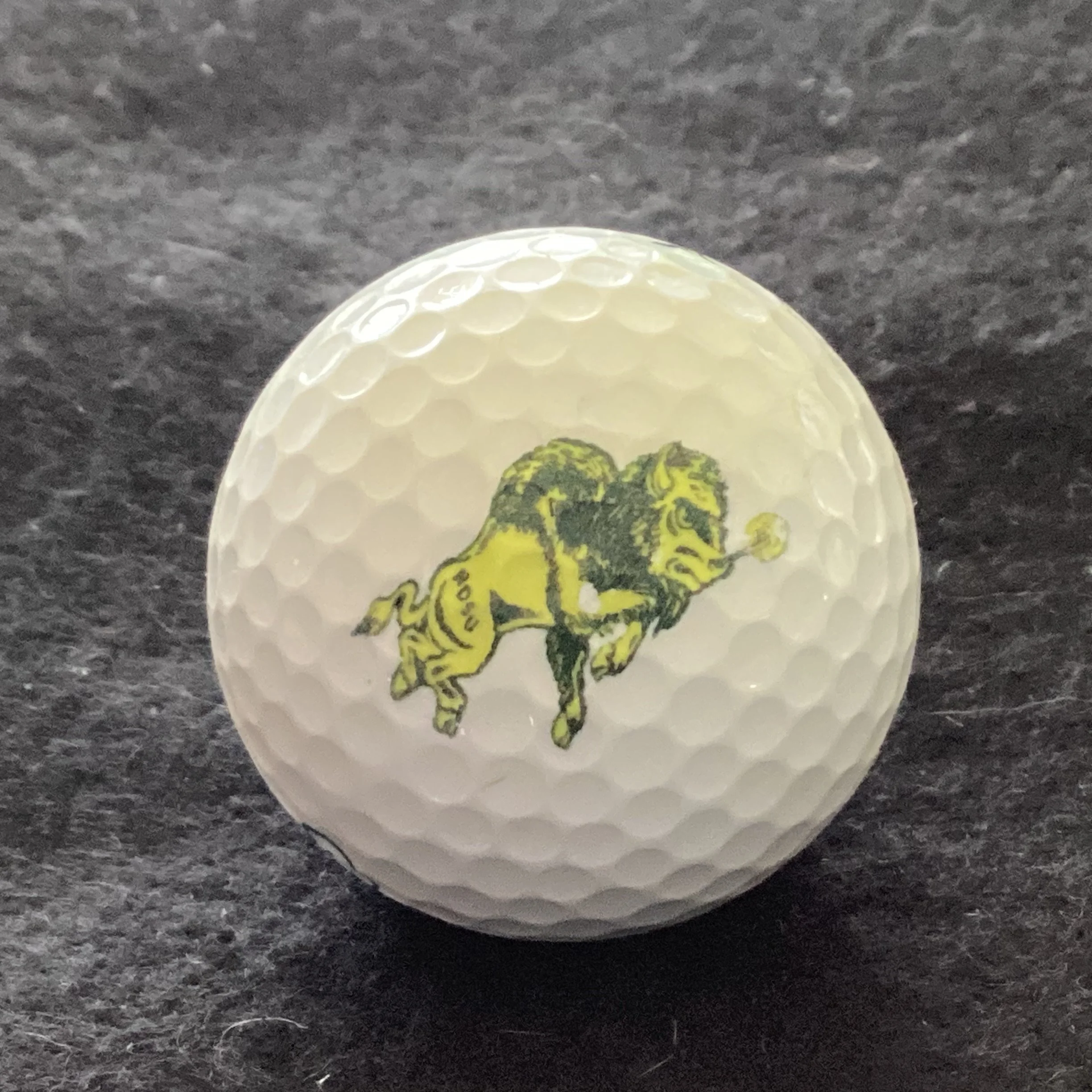 North Dakota State University Bisons