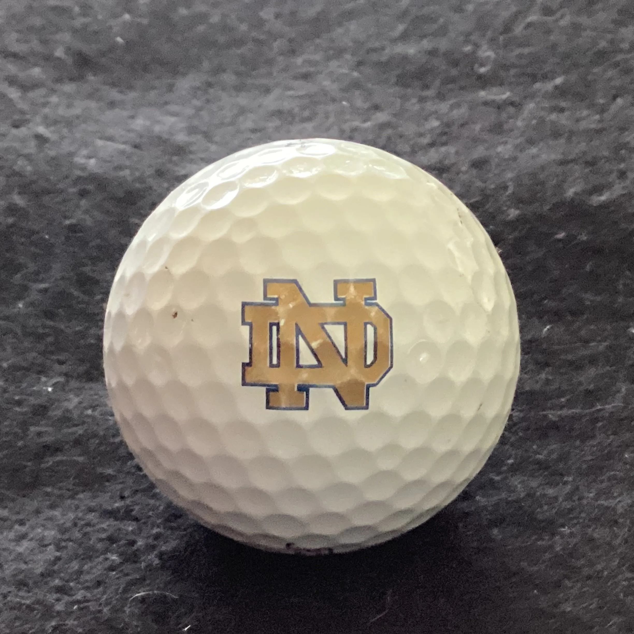 University of Notre Dame Fightin Irish
