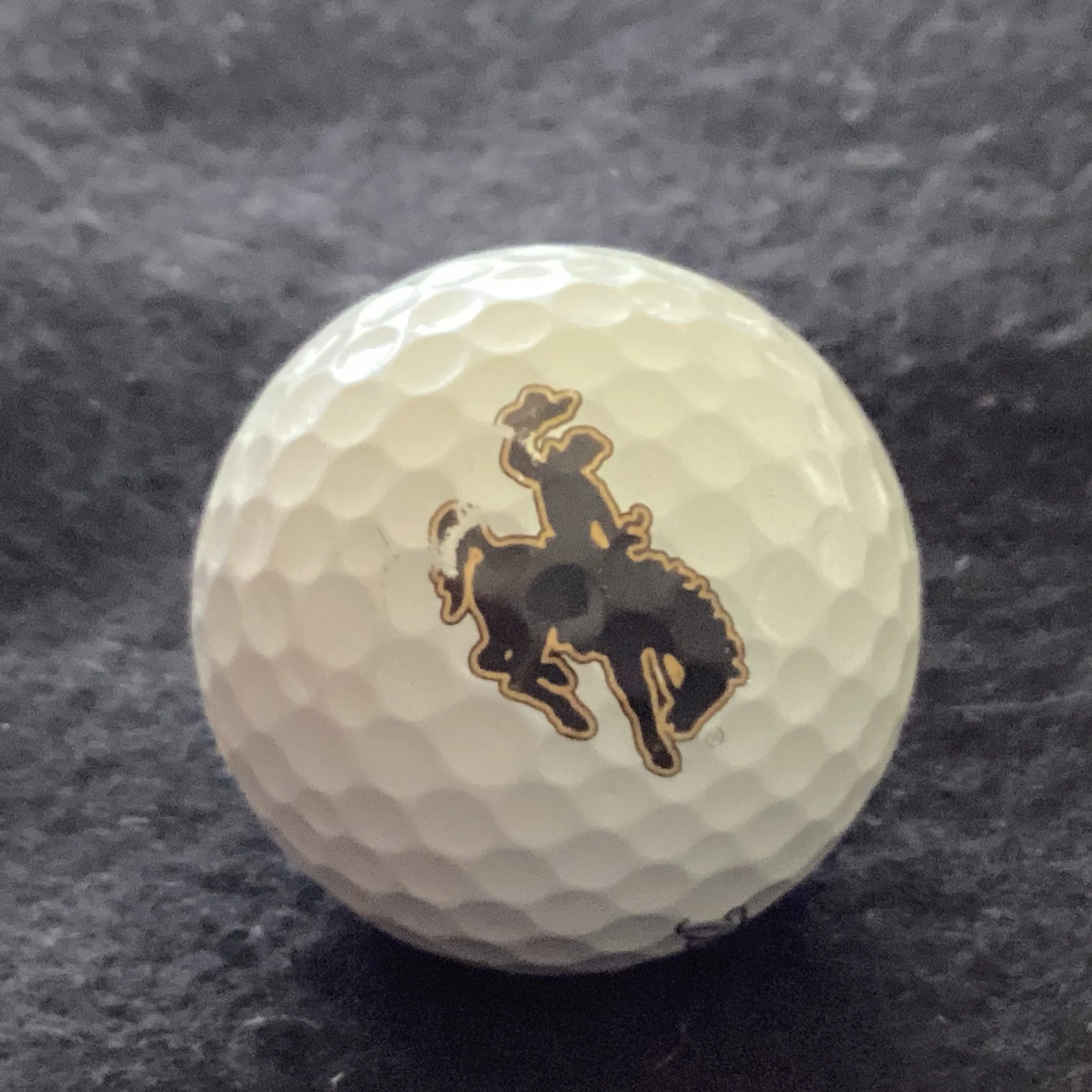 University of Wyoming Cowboys 