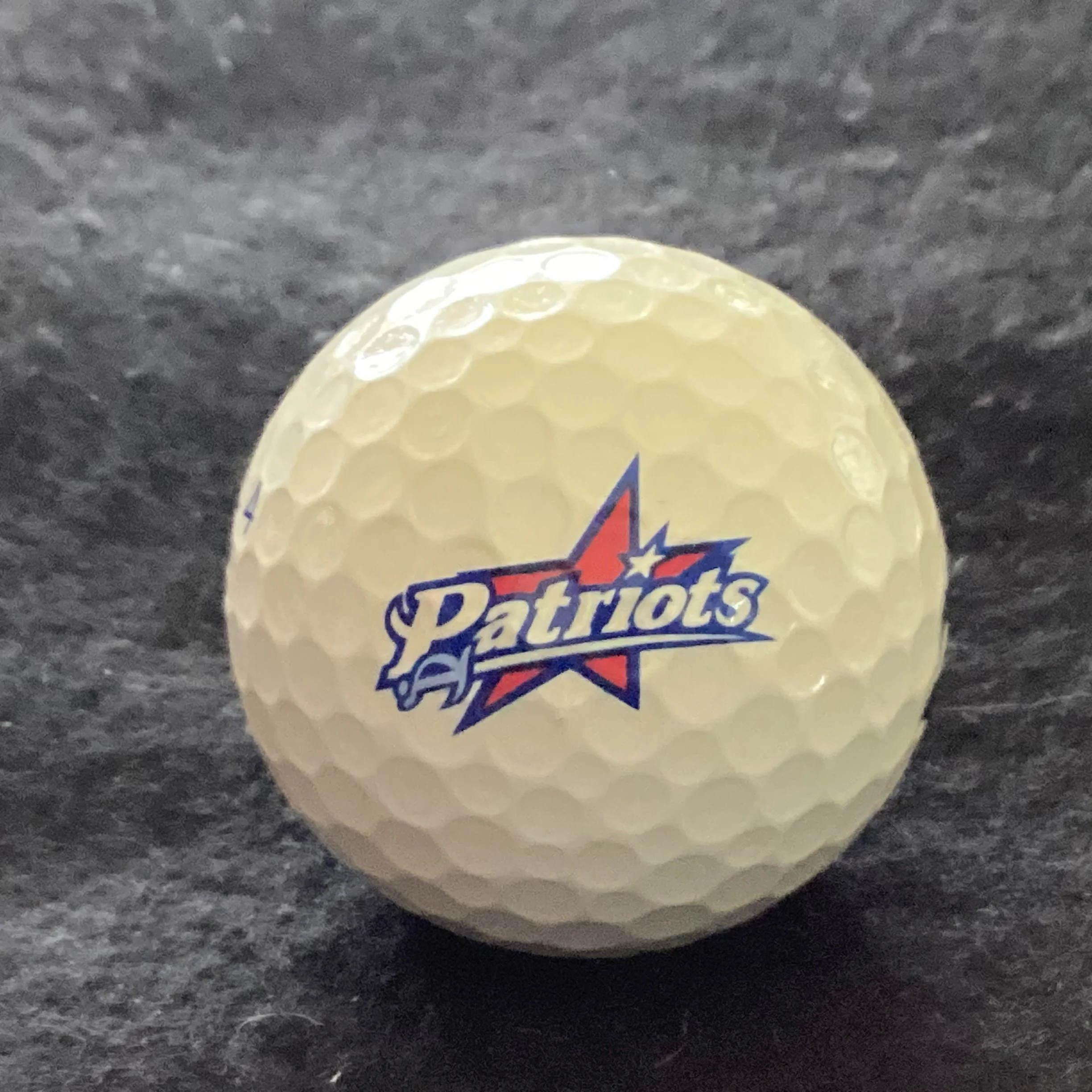 Francis Marion University Patriots 