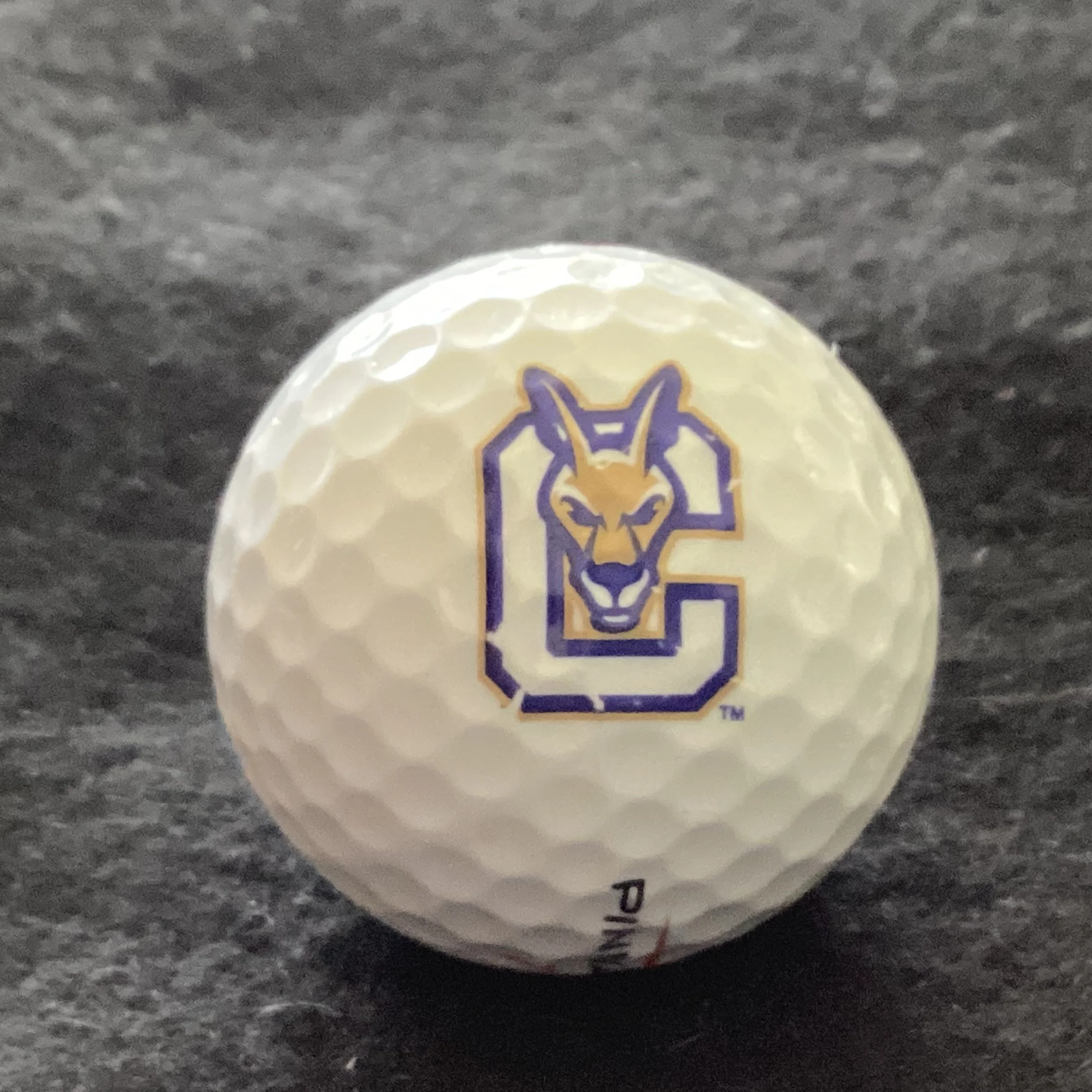 Suny Canton University Kangaroos