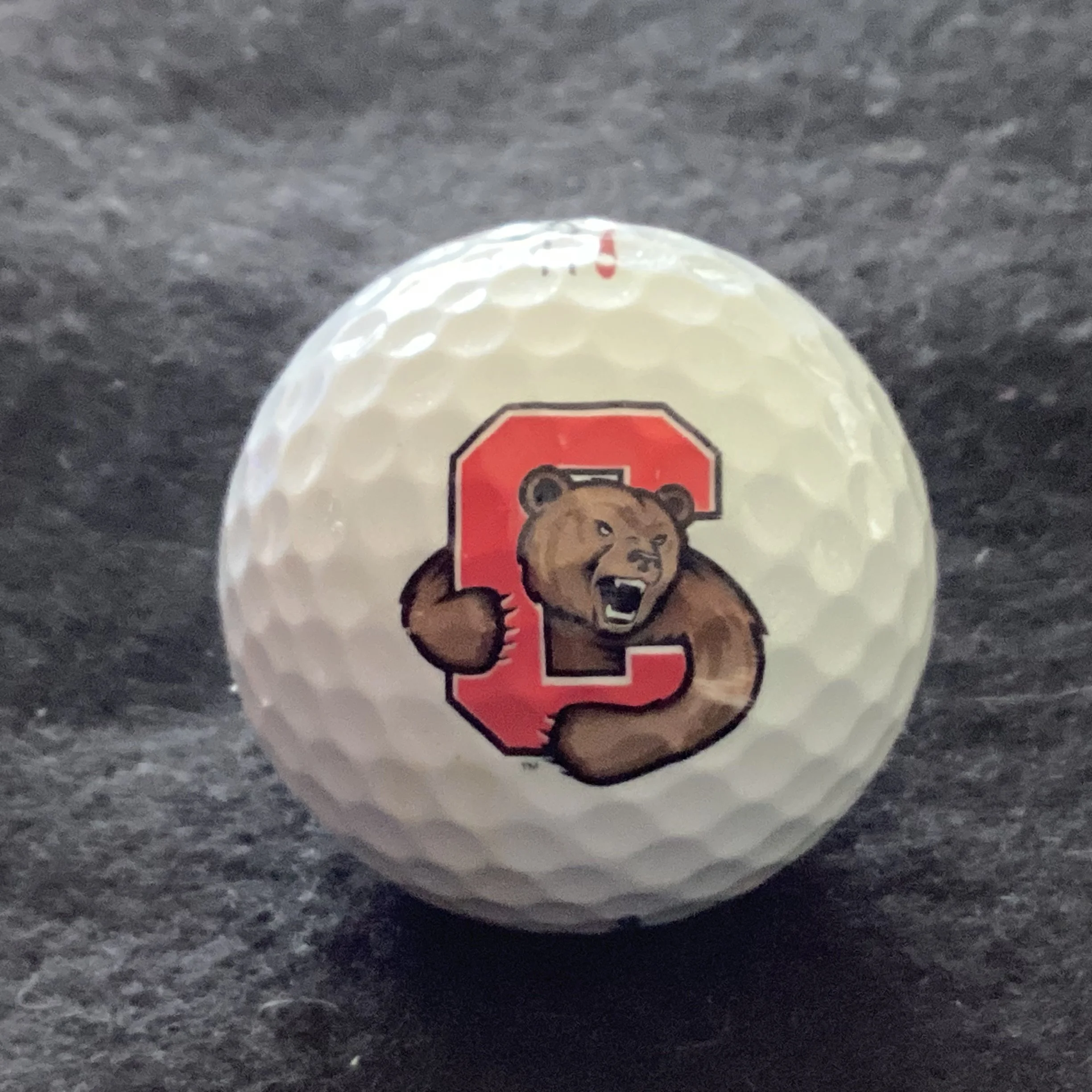 Cornell University Big Red