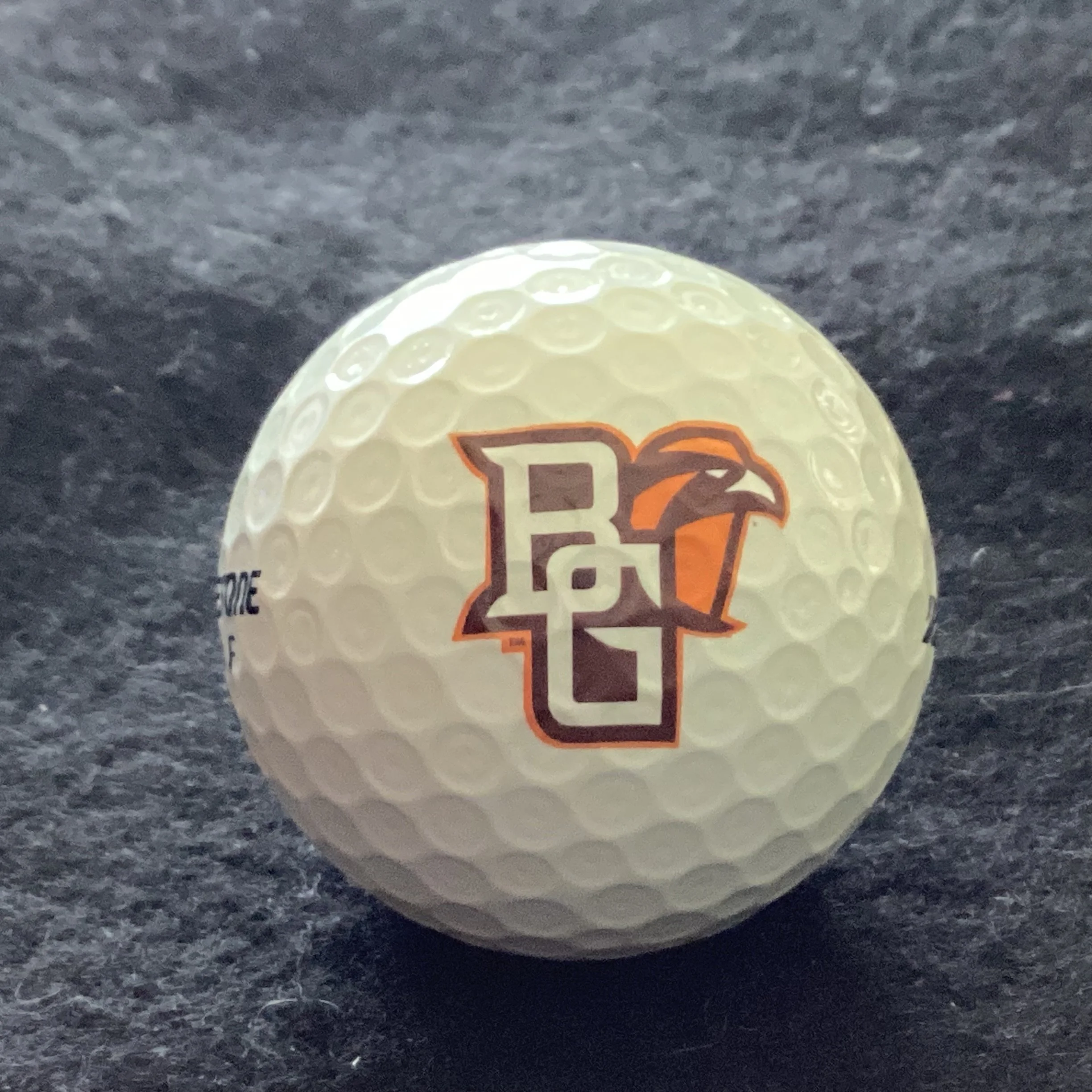 Bowling Green State University Falcons