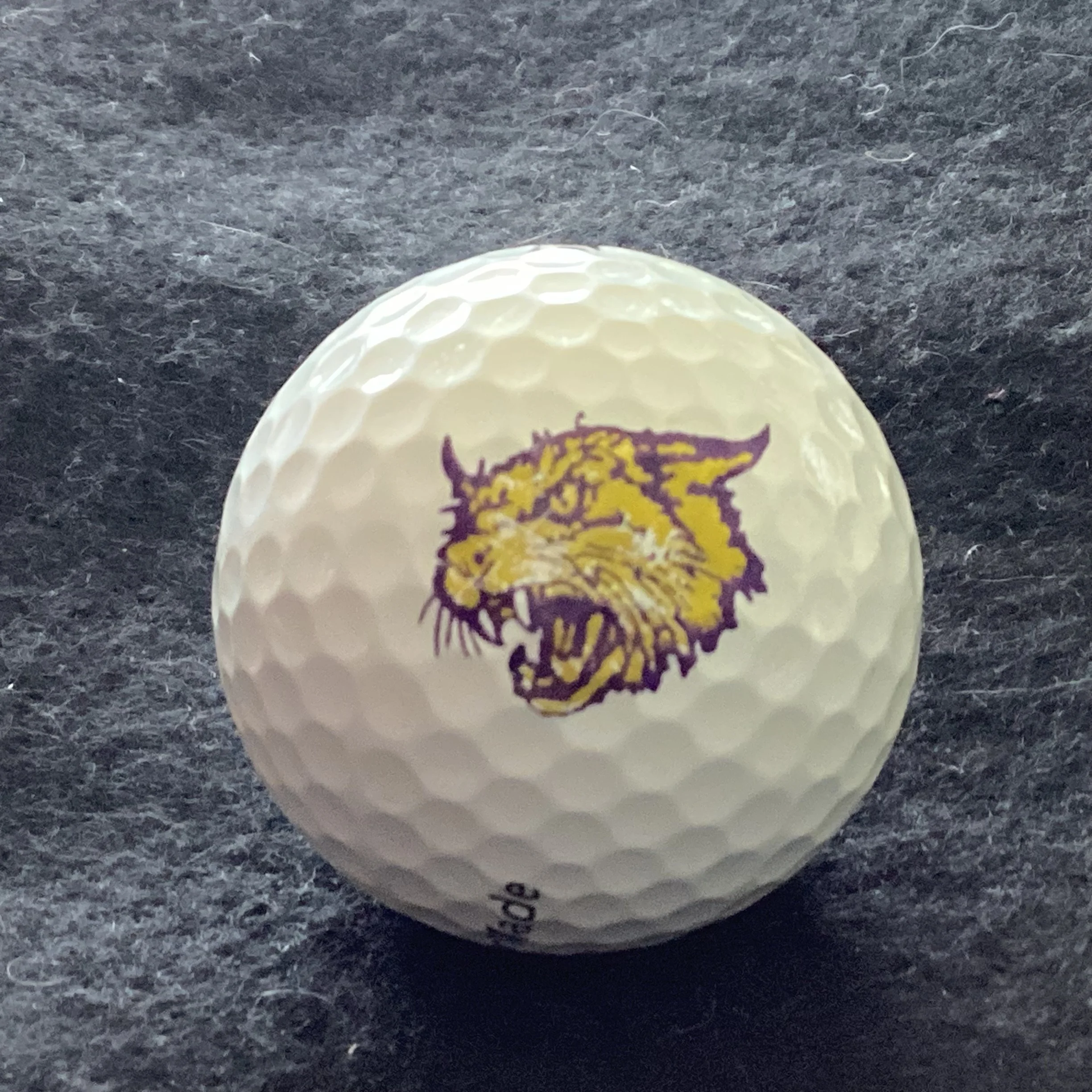 Evart High School Wildcats