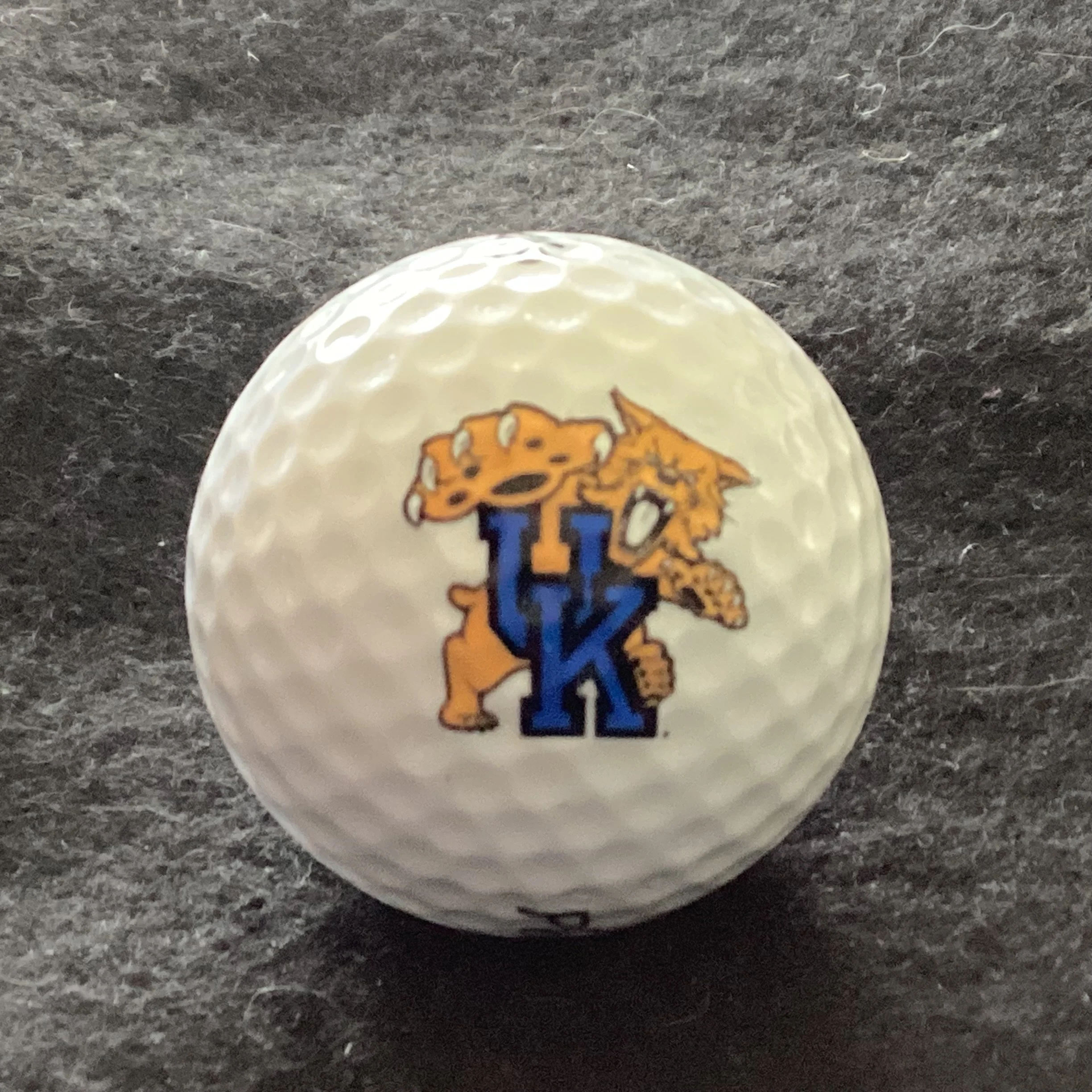 University of Kentucky Wildcats