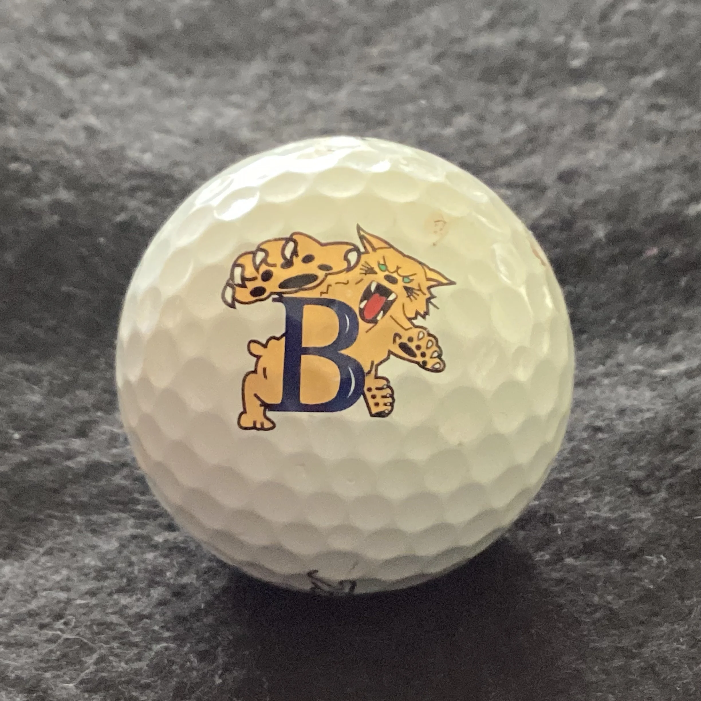 Betsy Layne High School Bobcats