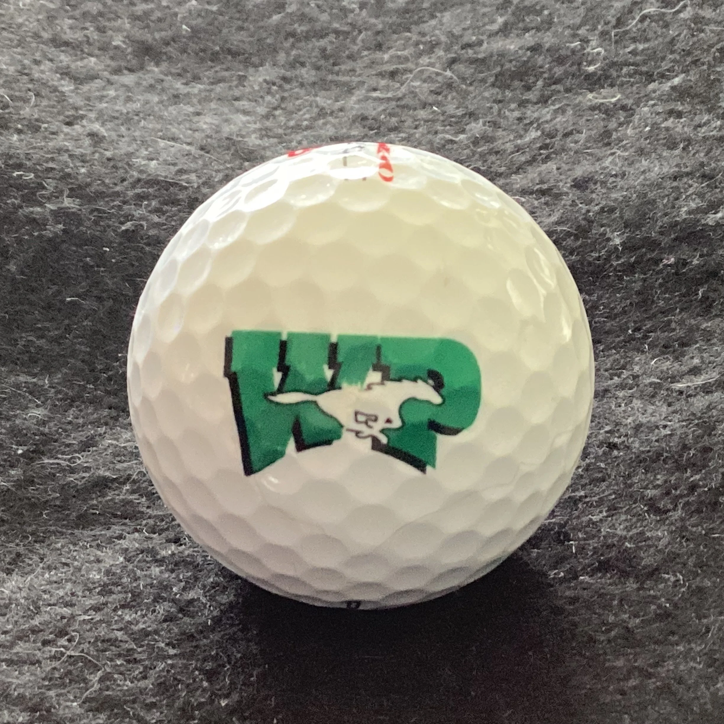 West Perry High School Mustangs