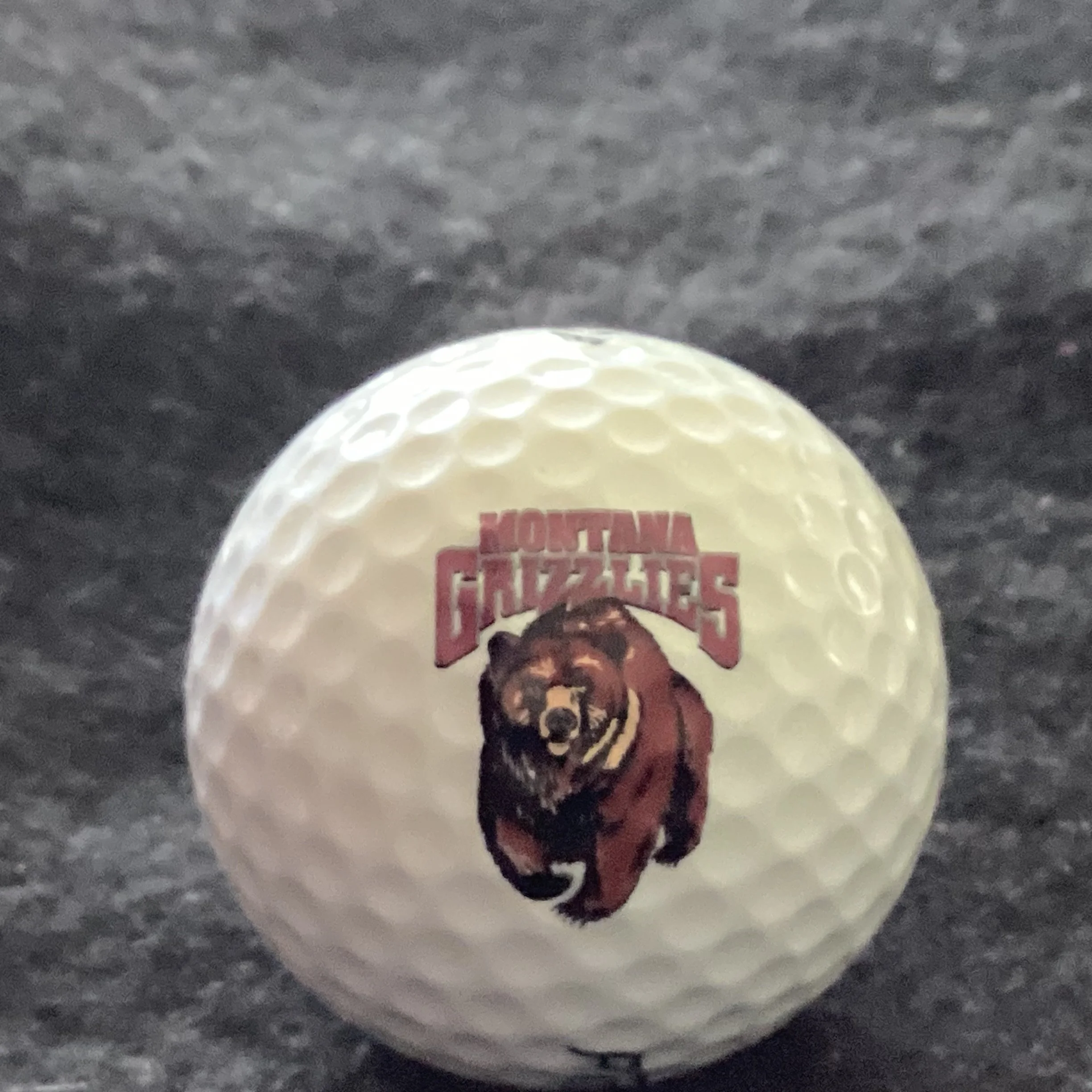 University of Montana Grizzlies