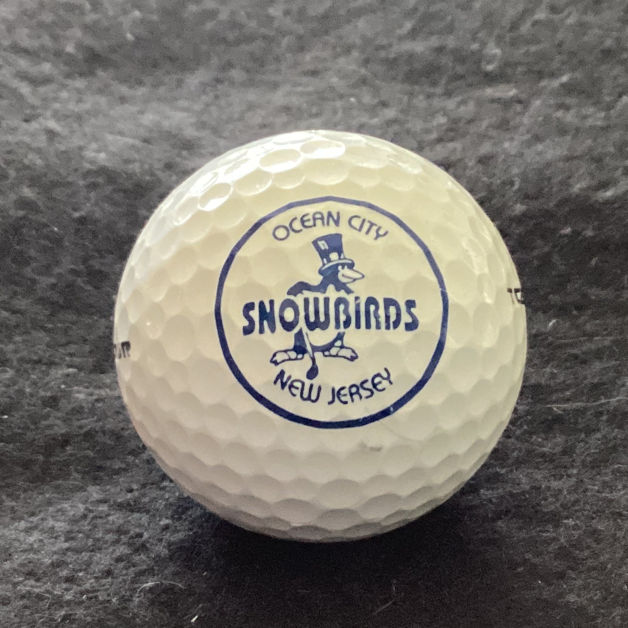 Ocean City New Jersey Snowbirds Social Golf Club 