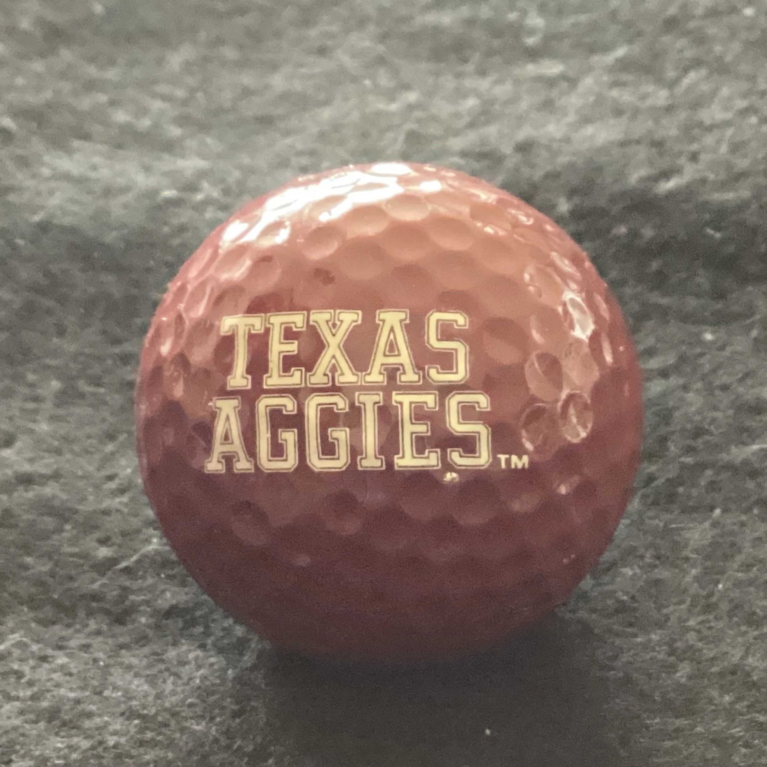 Texas A&M University Aggies