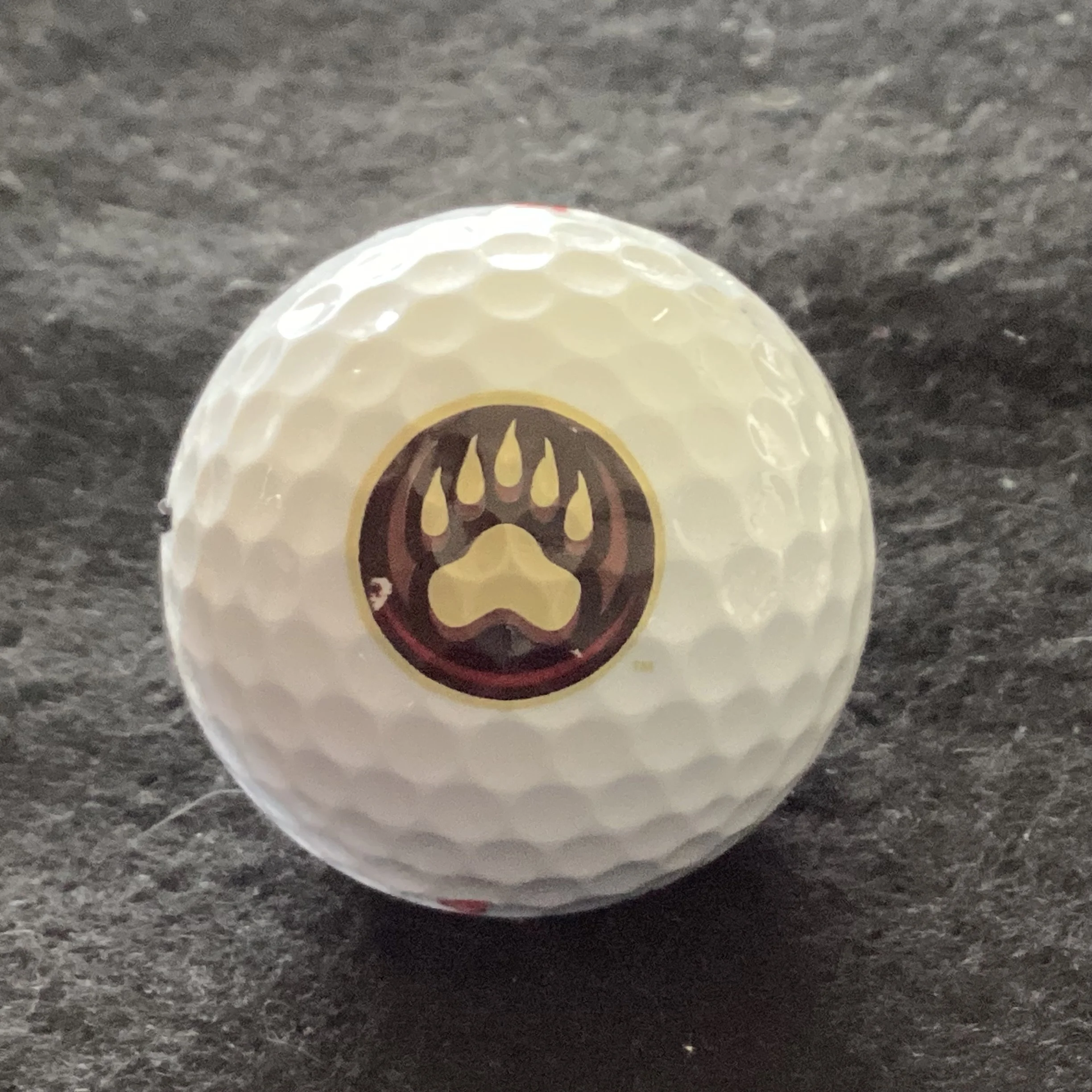 Hershey Bears
