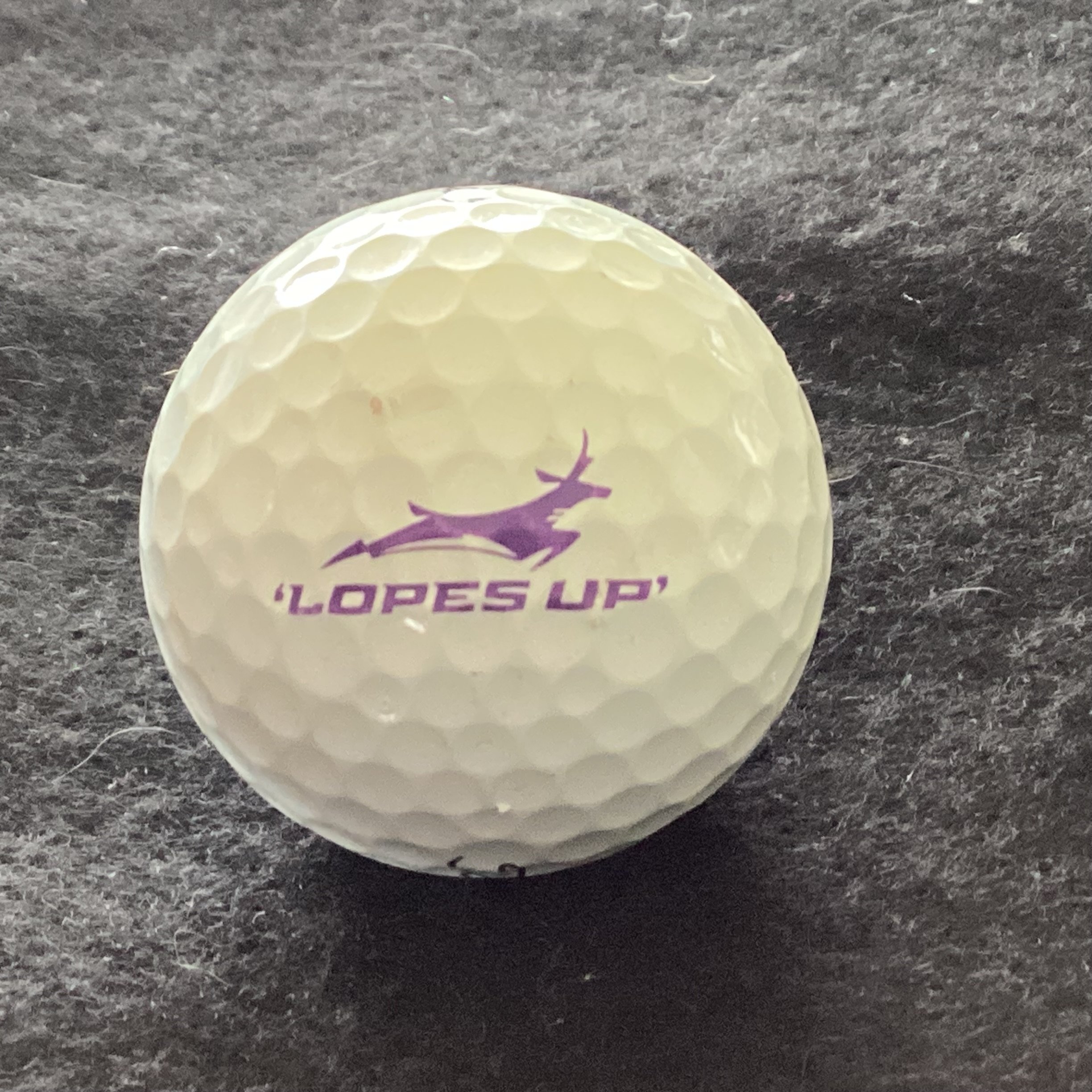 Grand Canyon University Antelopes