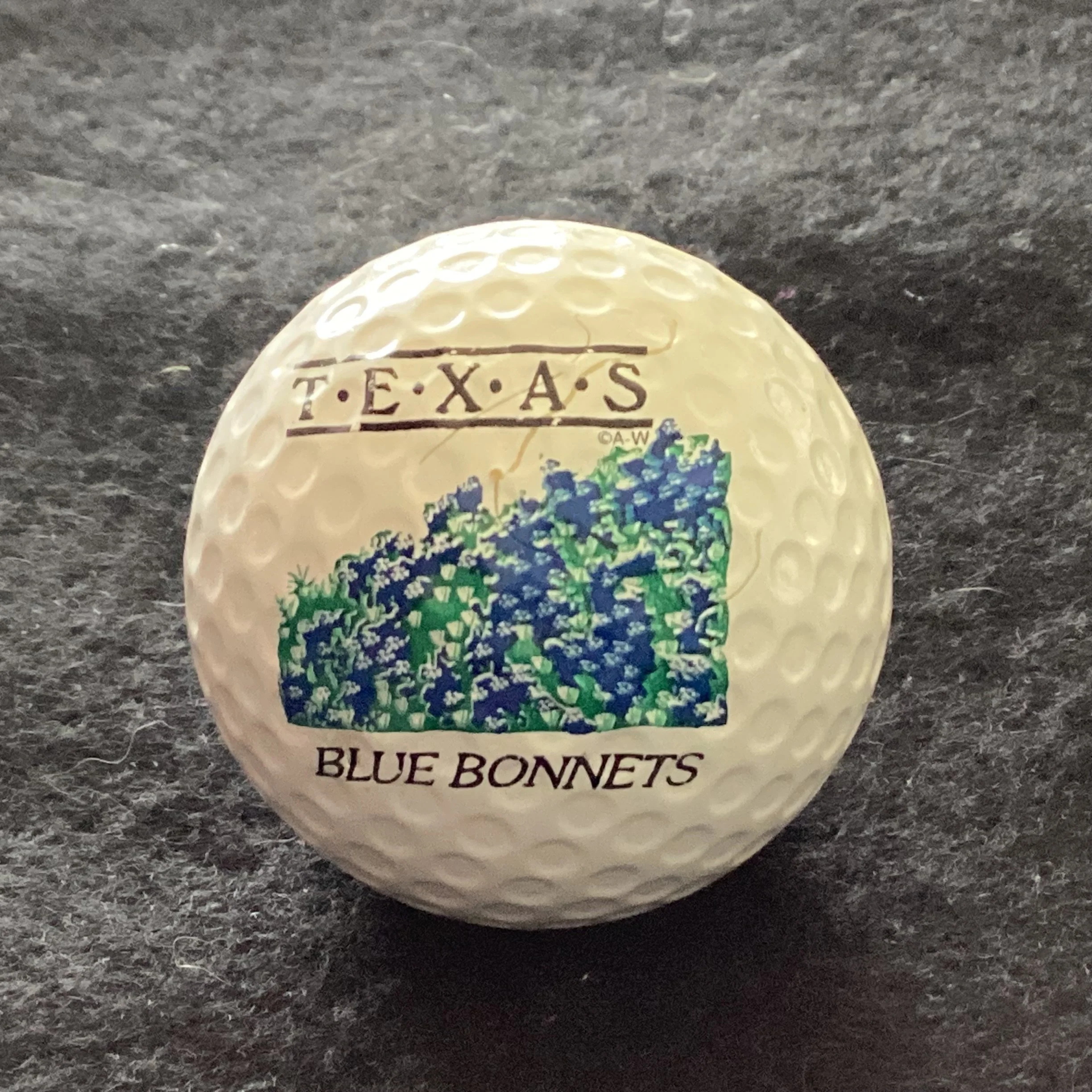 Texas Bluebonnets