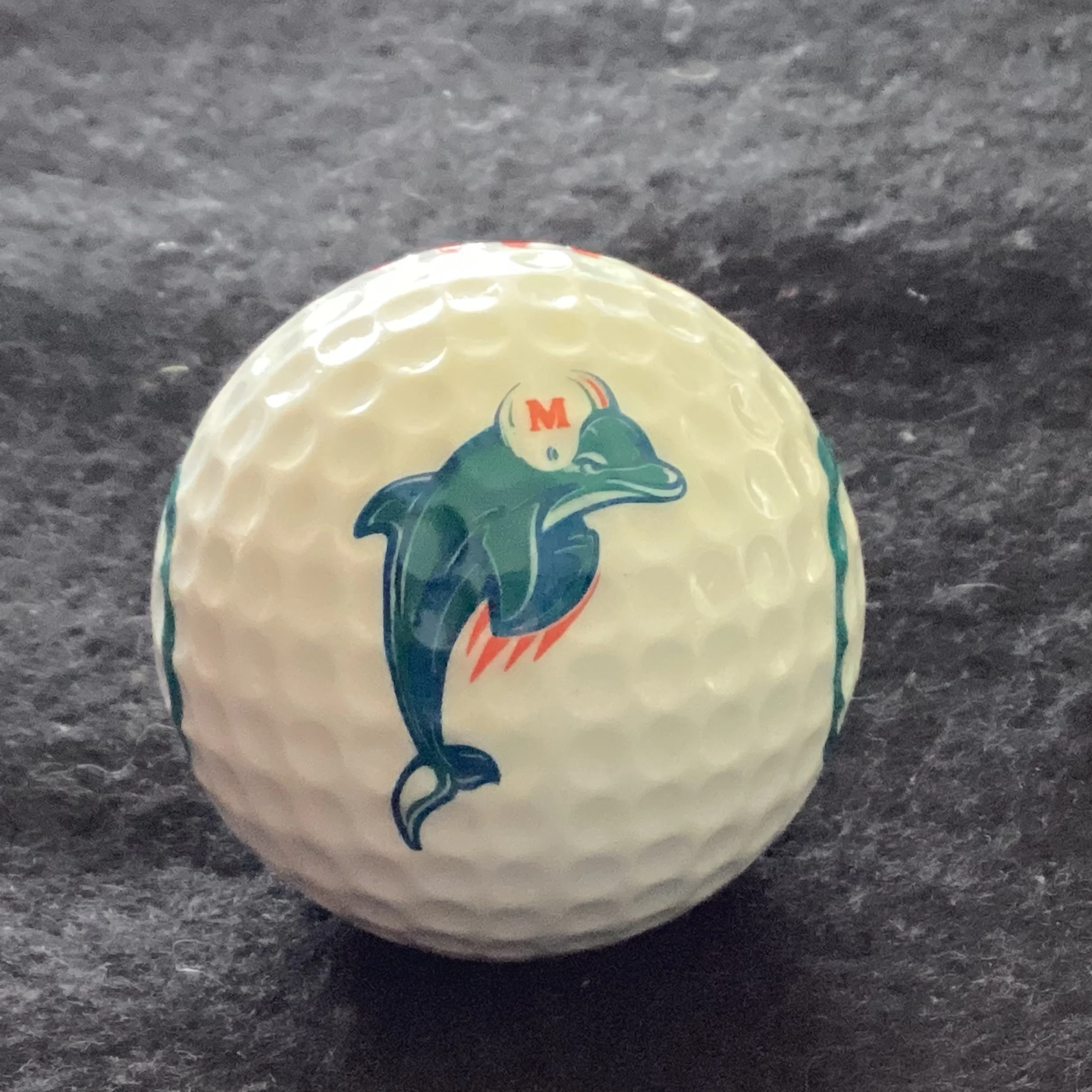 Miami Dolphins