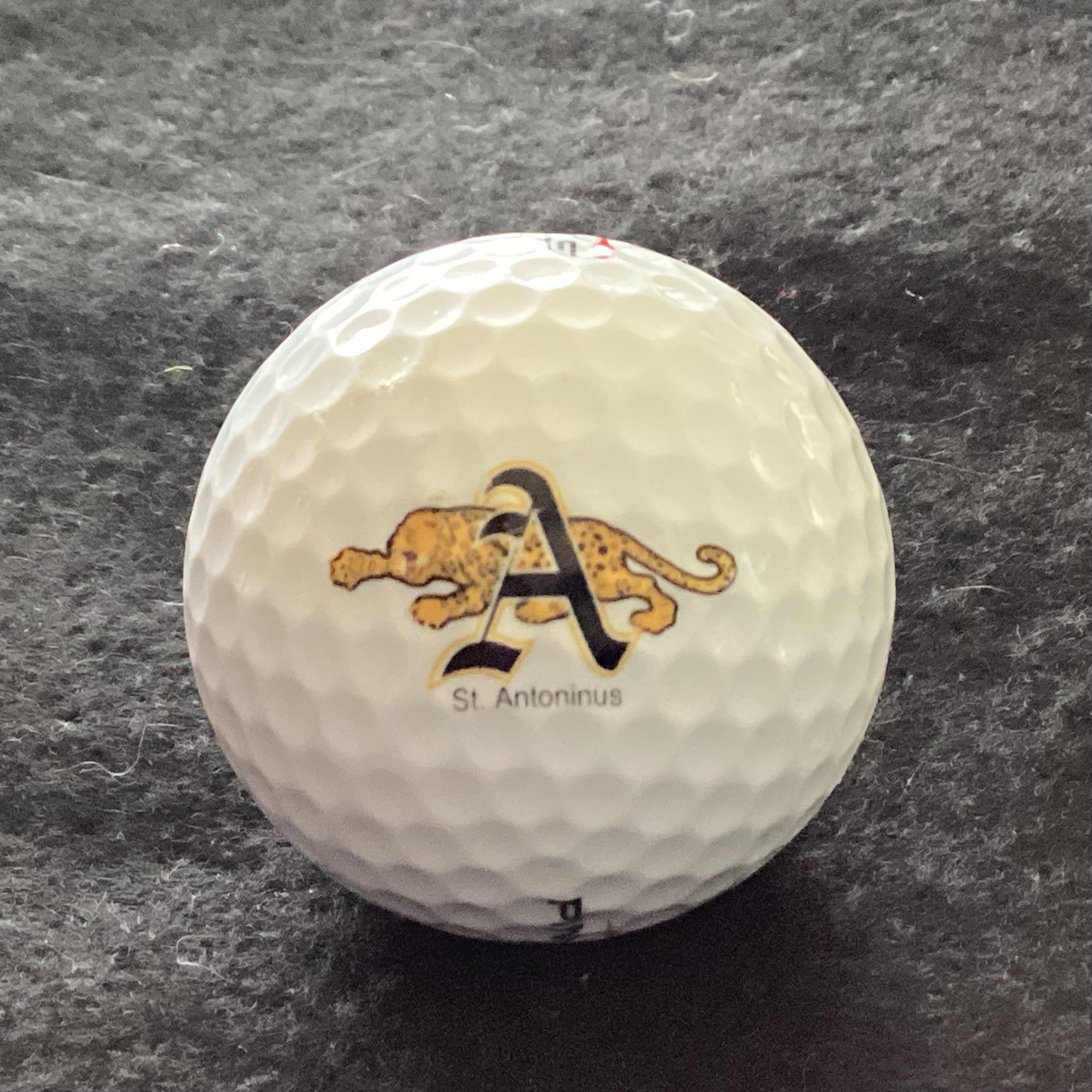 St Antoninus School Jaguars