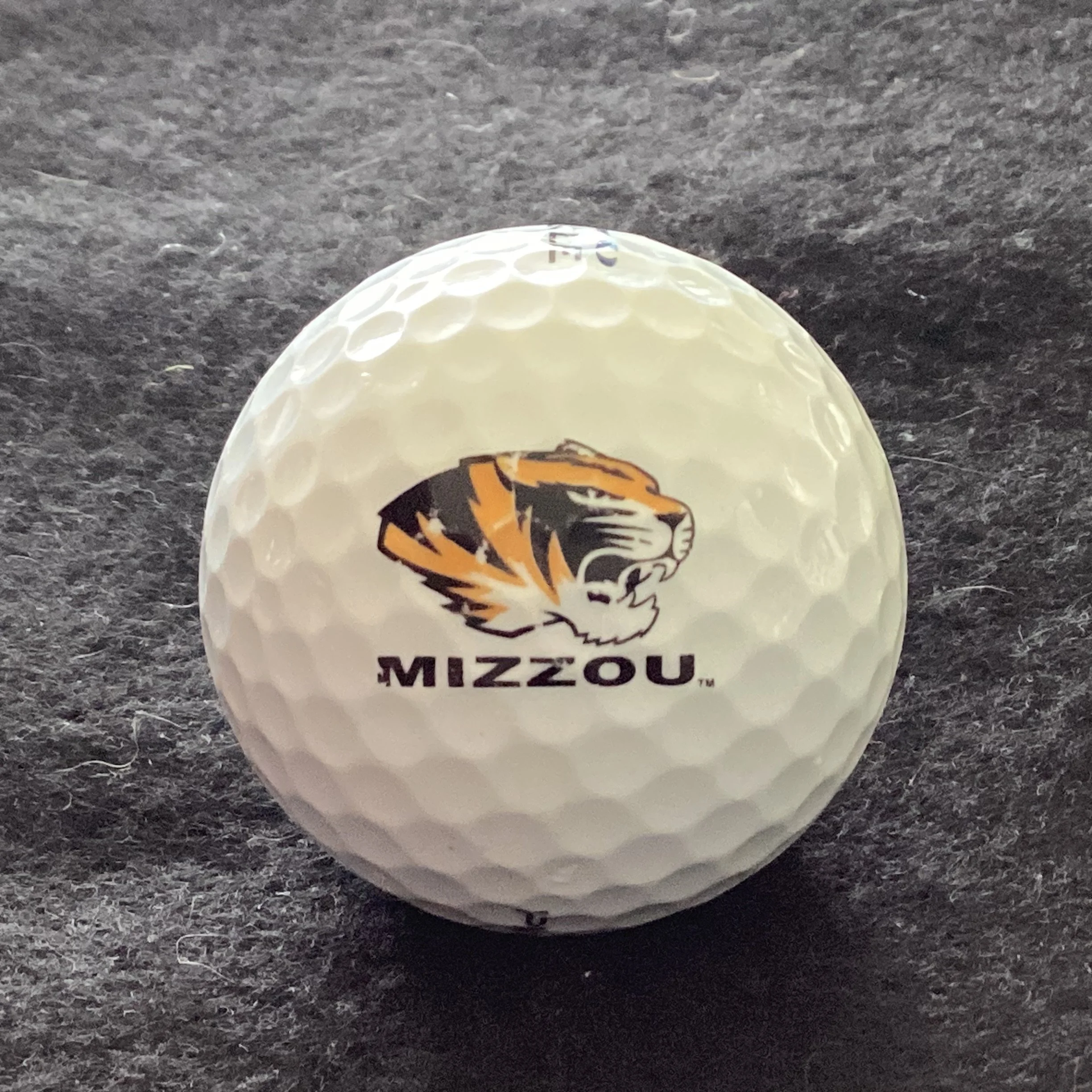 University of Missouri Tigers