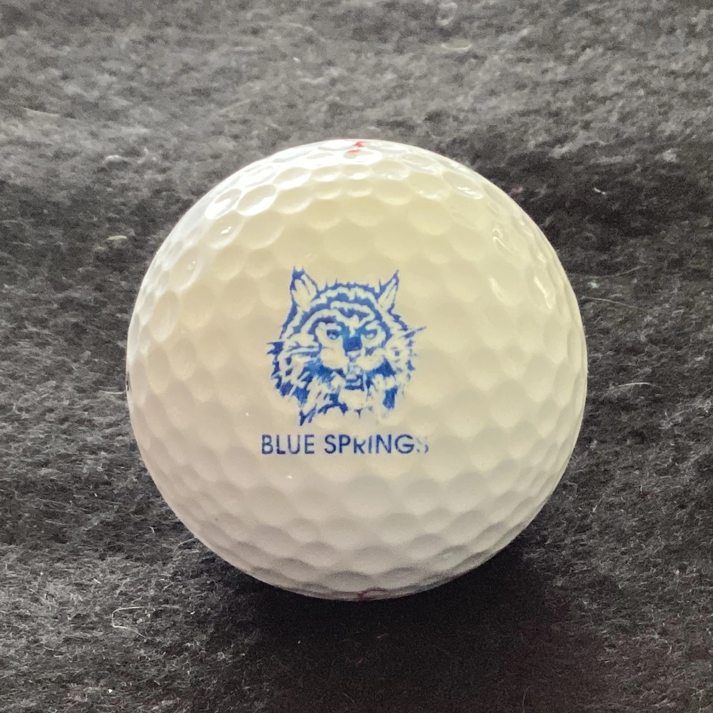 Blue Springs High School Jaguars
