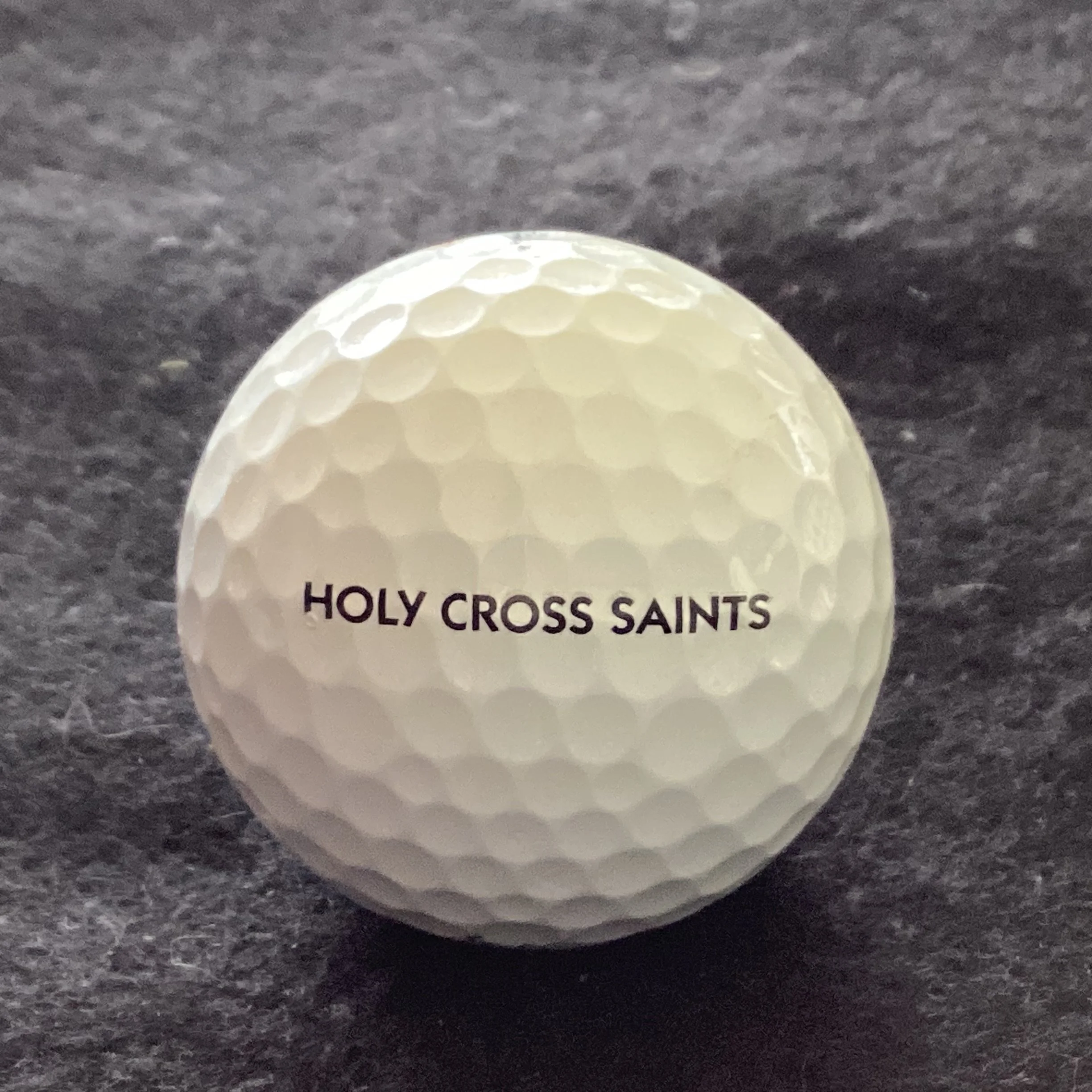 Holy Cross College Saints