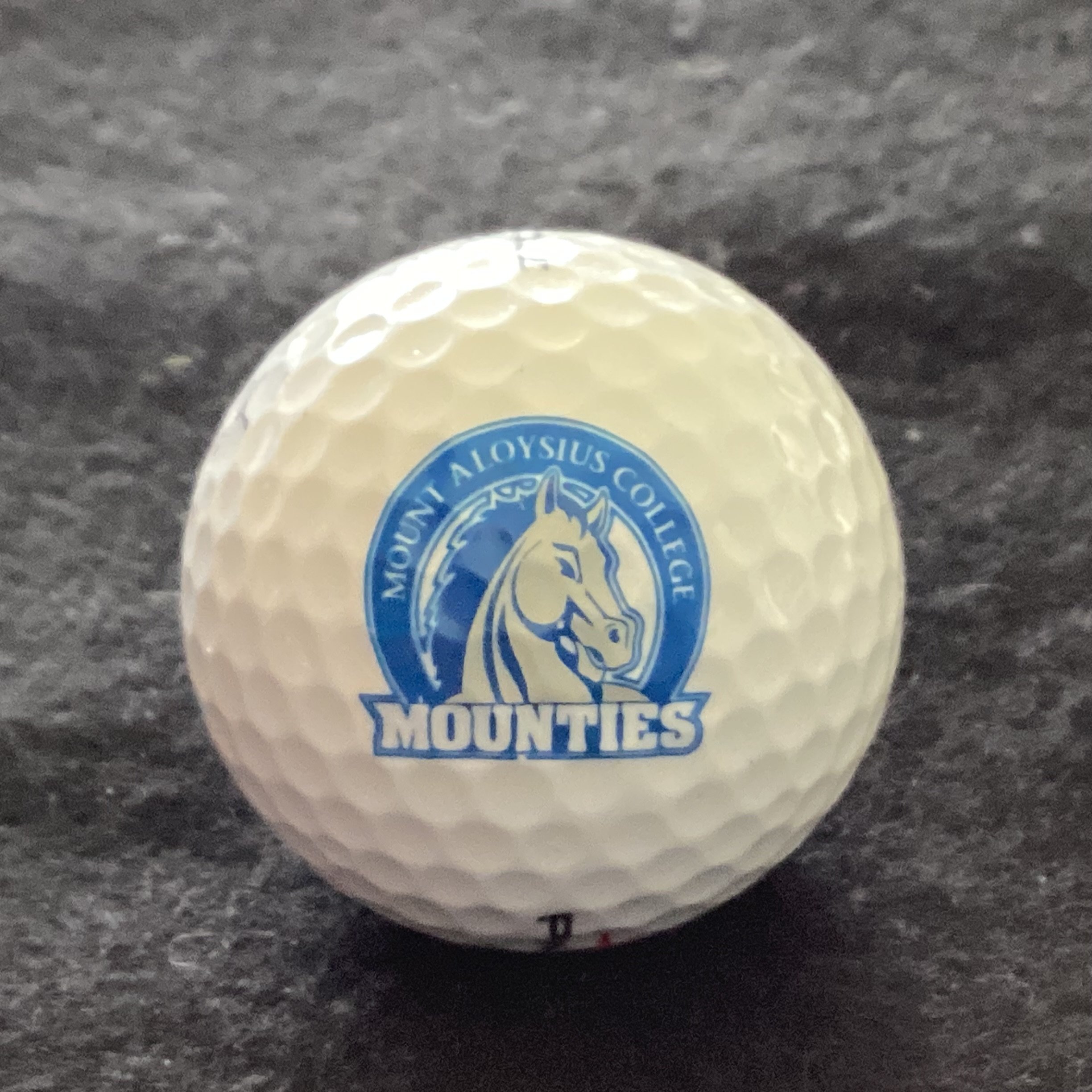 Mount Aloysius College Mounties