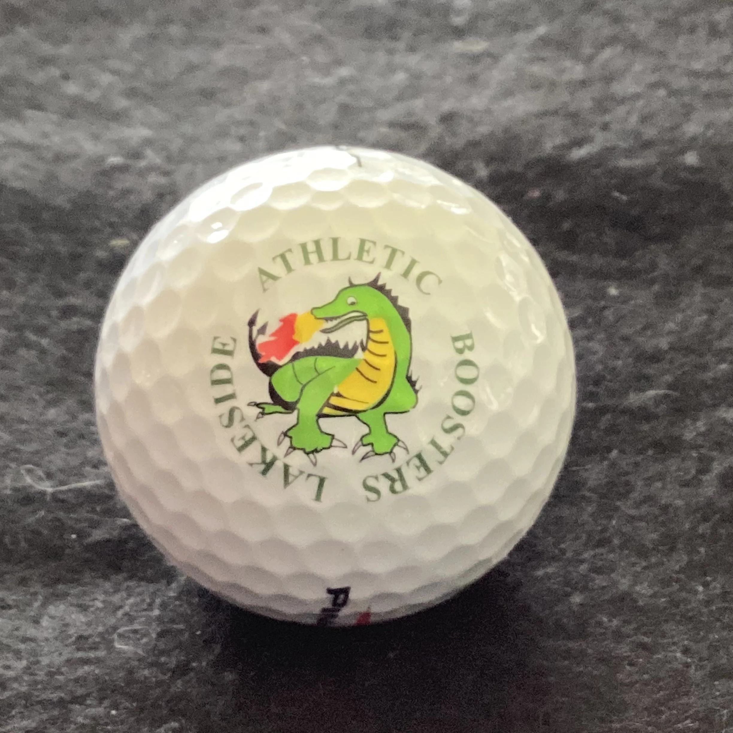 Lakeside Athletic Boosters School Fund Raising