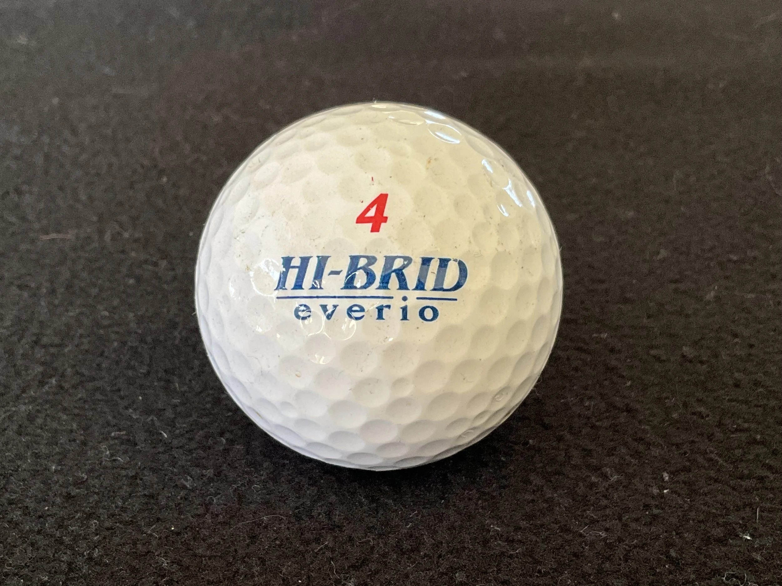 Everio - Hi Brid