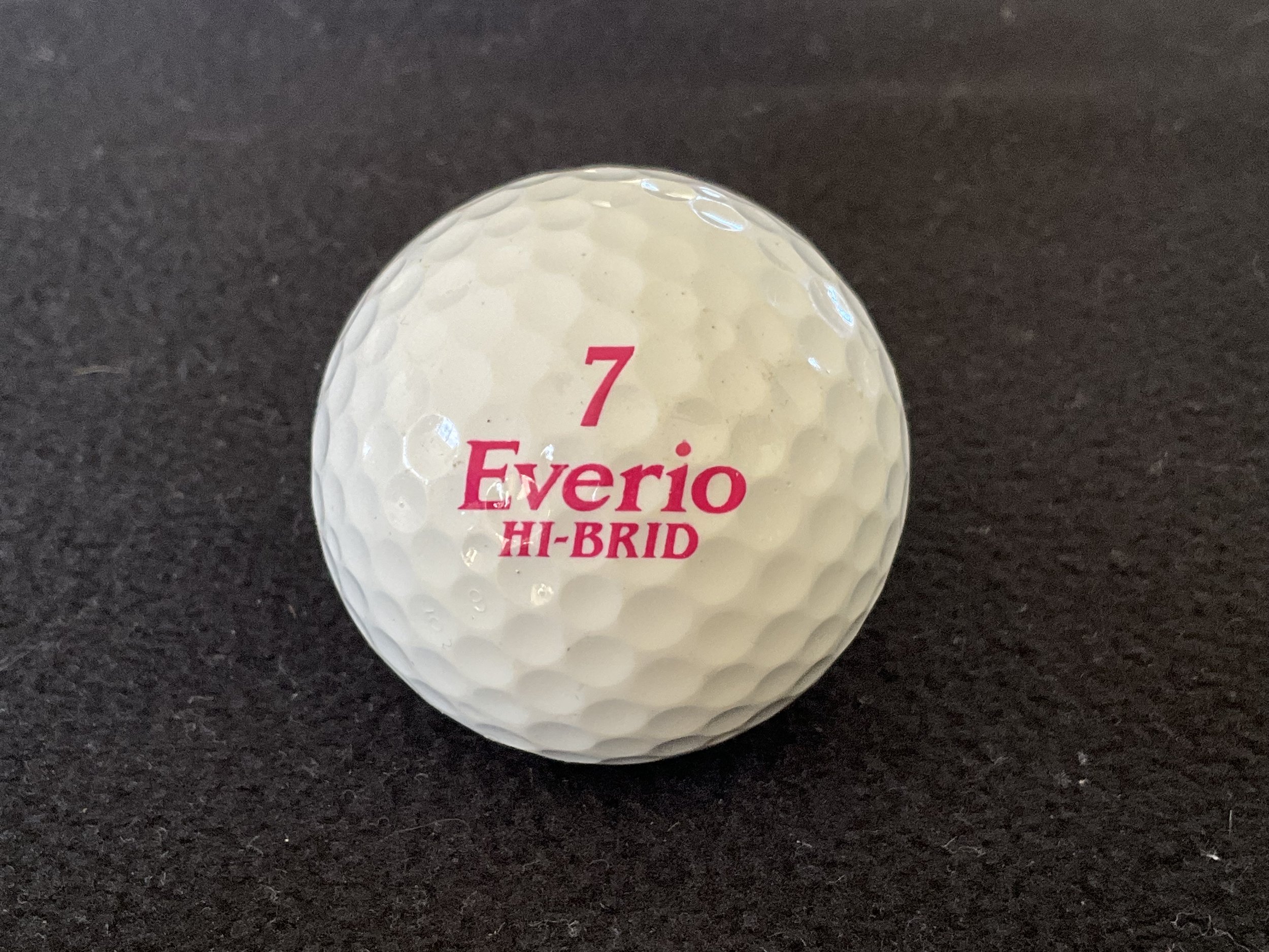 Everio - Hi Brid